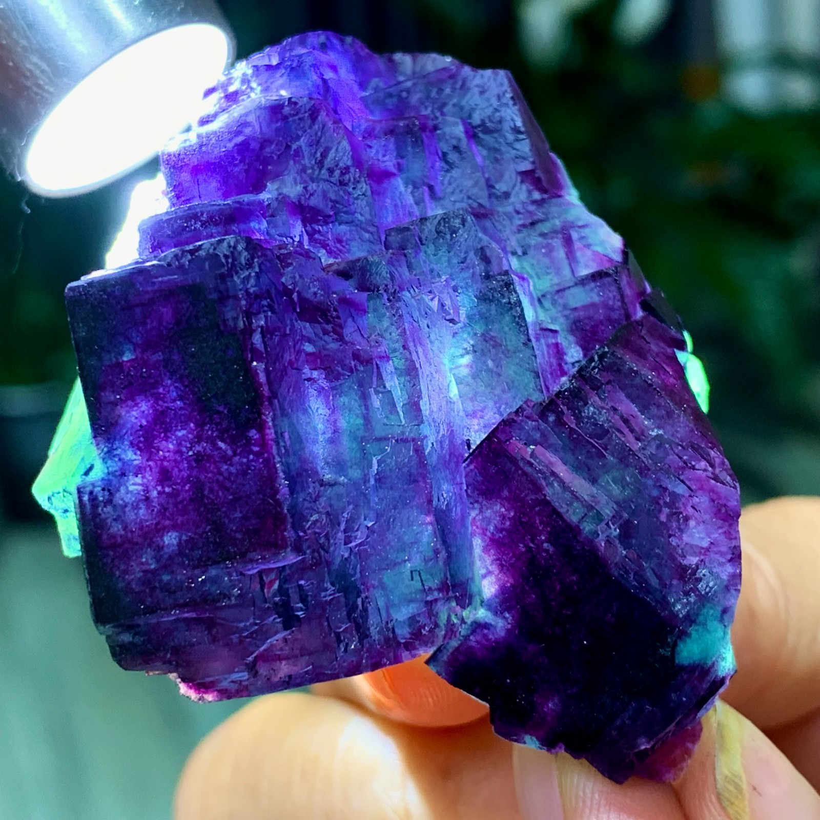 109G Rare transparent green purple cubic Zhejiang fluorite mineral sample