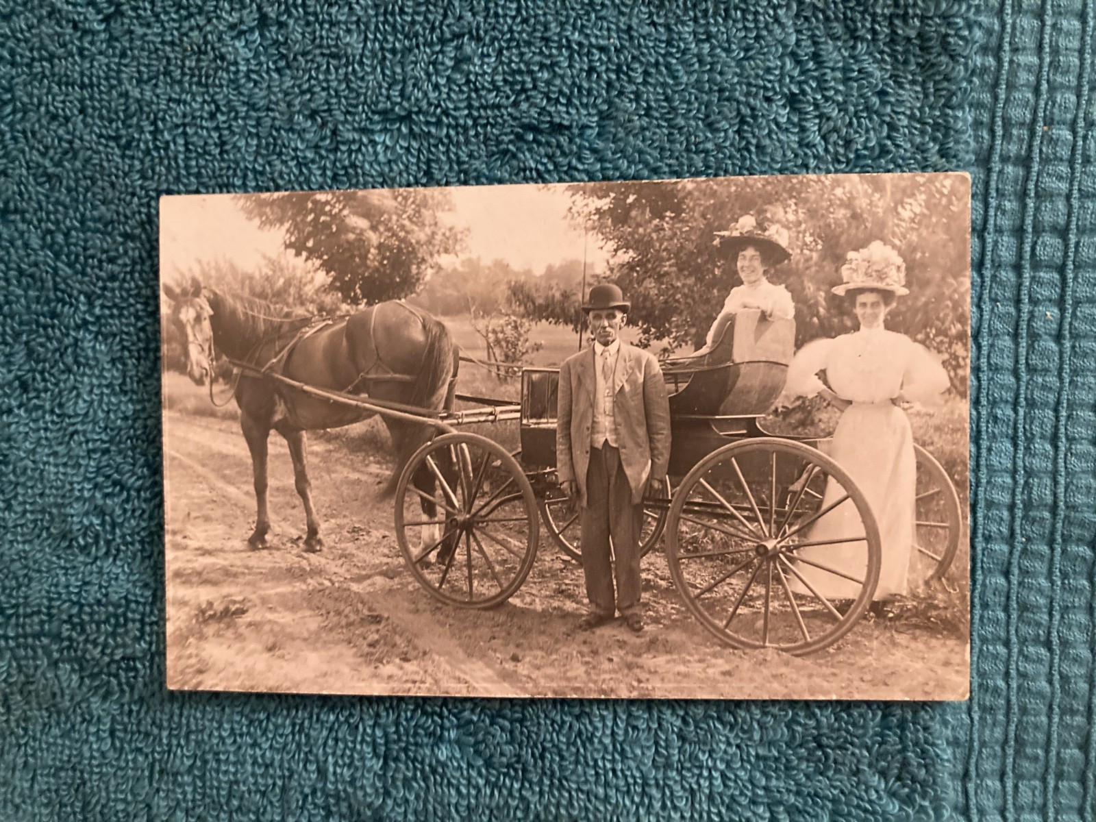 RPPC Millington Michigan Curious Horse Posted 1909 Essie Sims East Tawas Mi RPPC Millington Michigan Curious Horse Posted 1909 Essie Sims East Tawas Mi