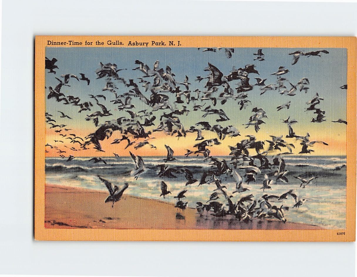 Postcard Dinner Time for the Gulls Asbury Park New Jersey USA