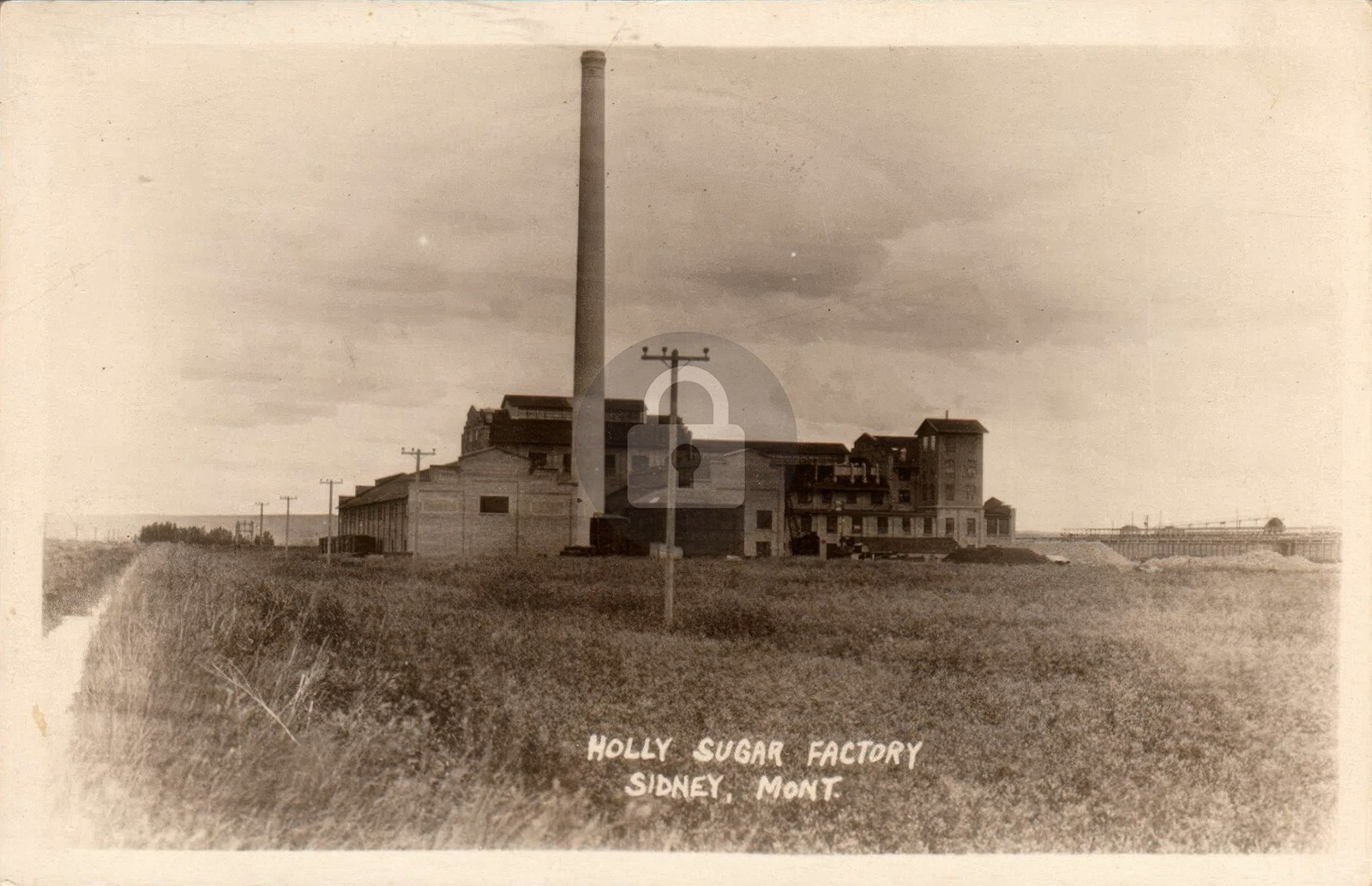 Sidney MT Montana 1924 Holly Sugar Factory Beet Farming RPPC Photo Postcard COPY
