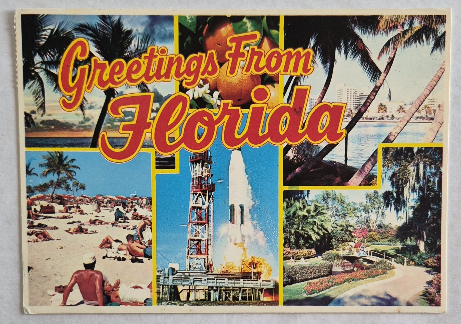 Postcard Multiple Panels of Greetings From Florida, Postmarked 1988, Chrome 4x6