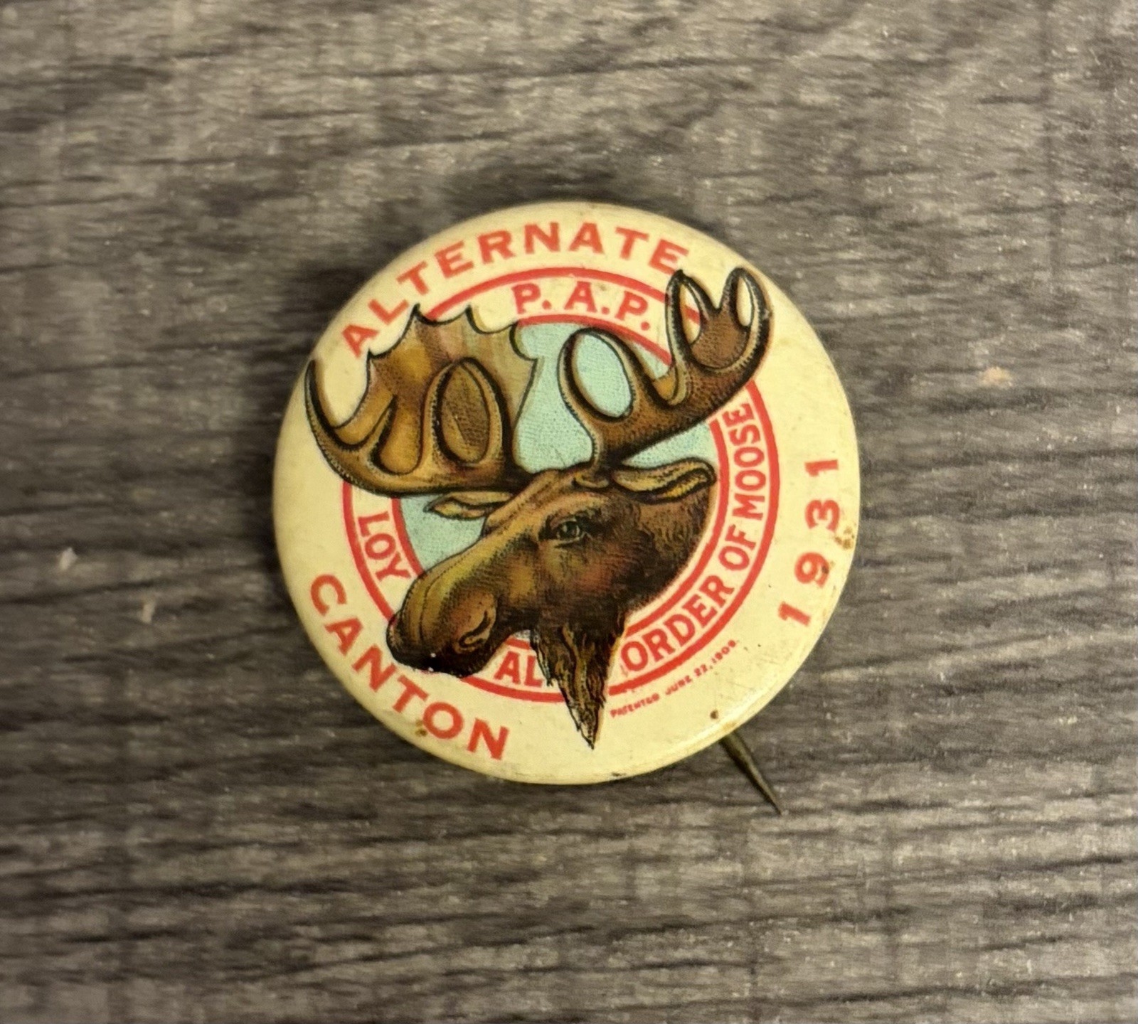 Vintage 1931 P.A.P. Loyal Order Of Moose Pinback Button Vintage 1931 P.A.P. Loyal Order Of Moose Pinback Button