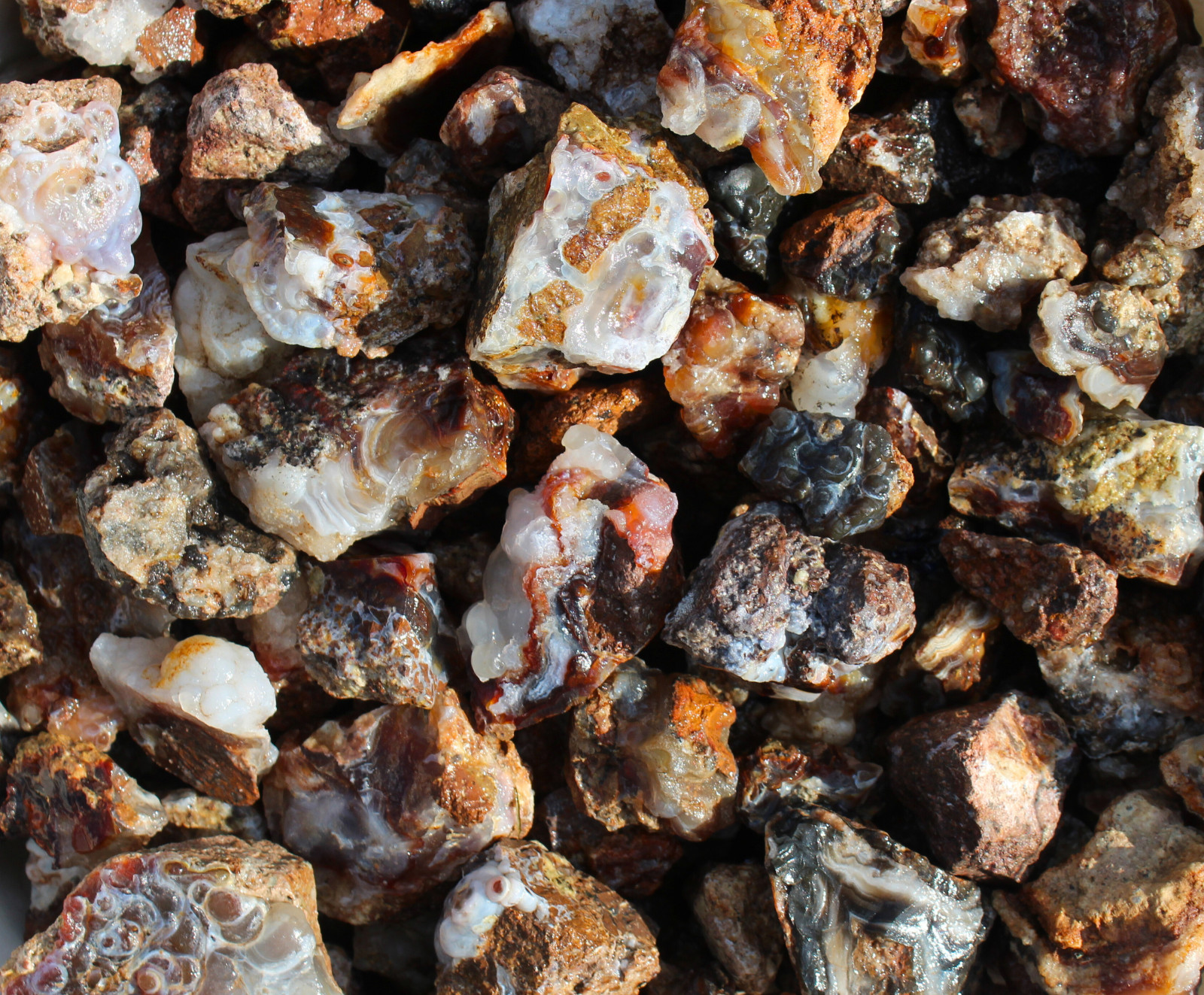 Fire Agate in Host Rock - Mexican Rough Rocks - Bulk options