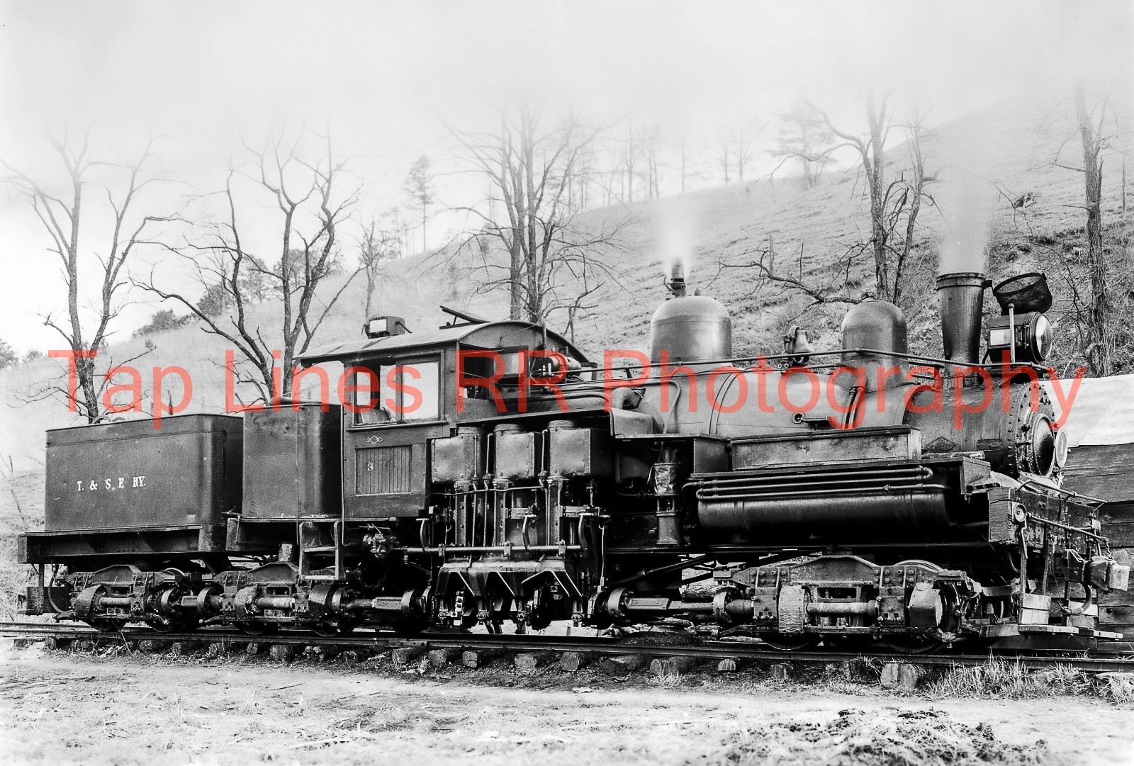 Tuckaseegee & Southeastern Ry #1 Shay  Sylva NC 4/12/1938 Lima NEW 13x19 PHOTO