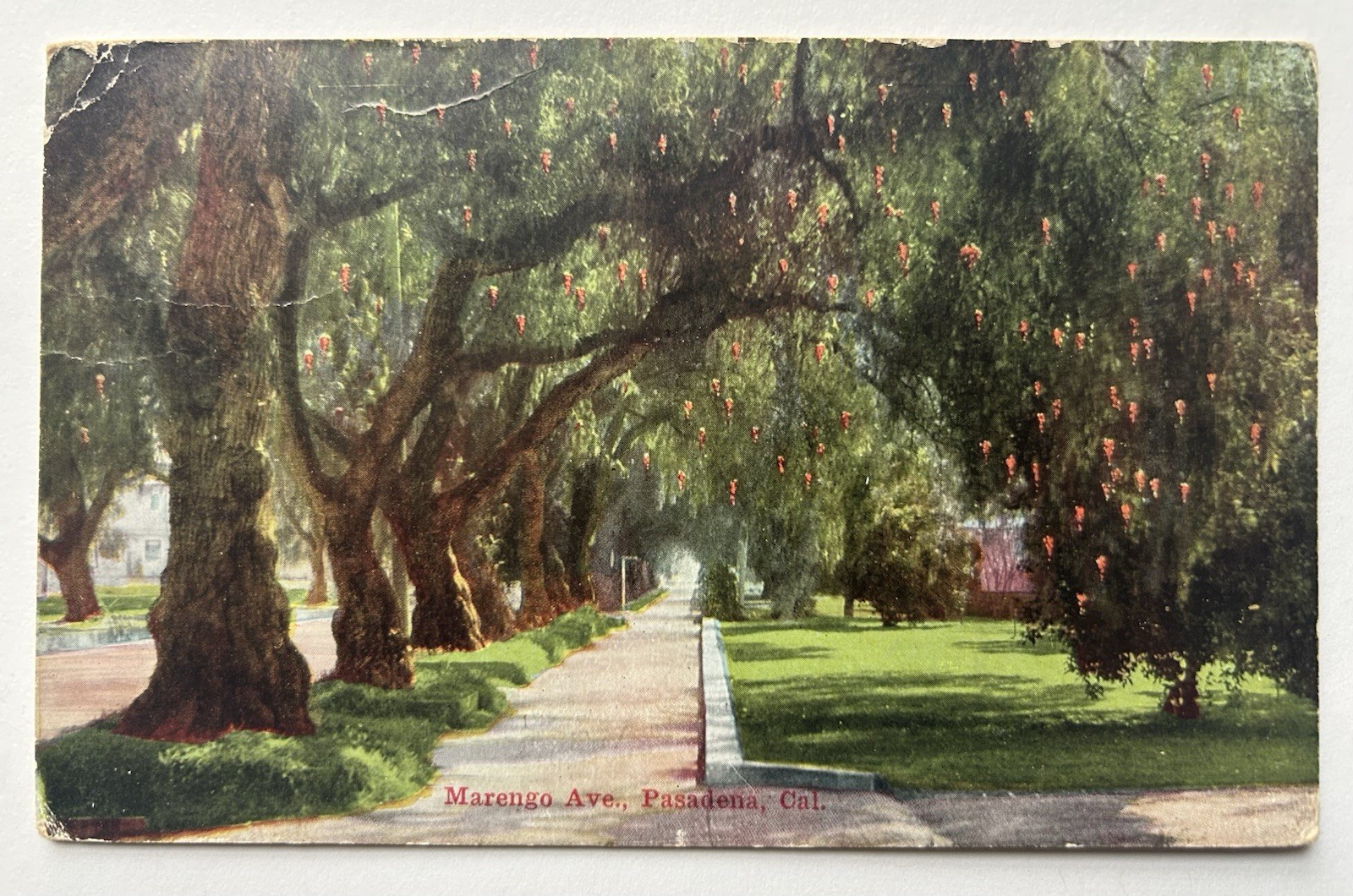 Marengo Ave., Pasadena, Cal. Antique 1914 Postcard