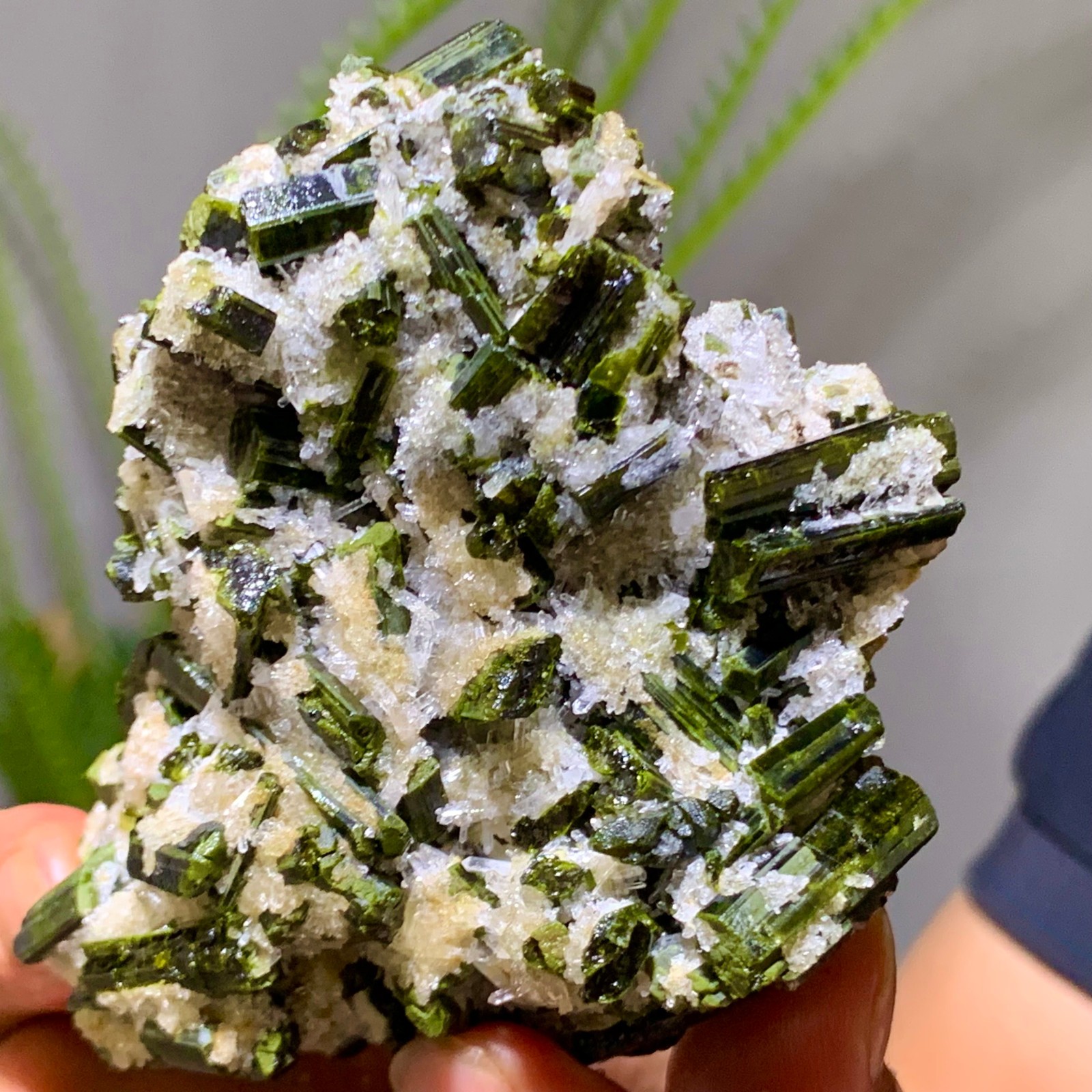 293G Natural green tourmaline quartz crystal cluster mineral specimen