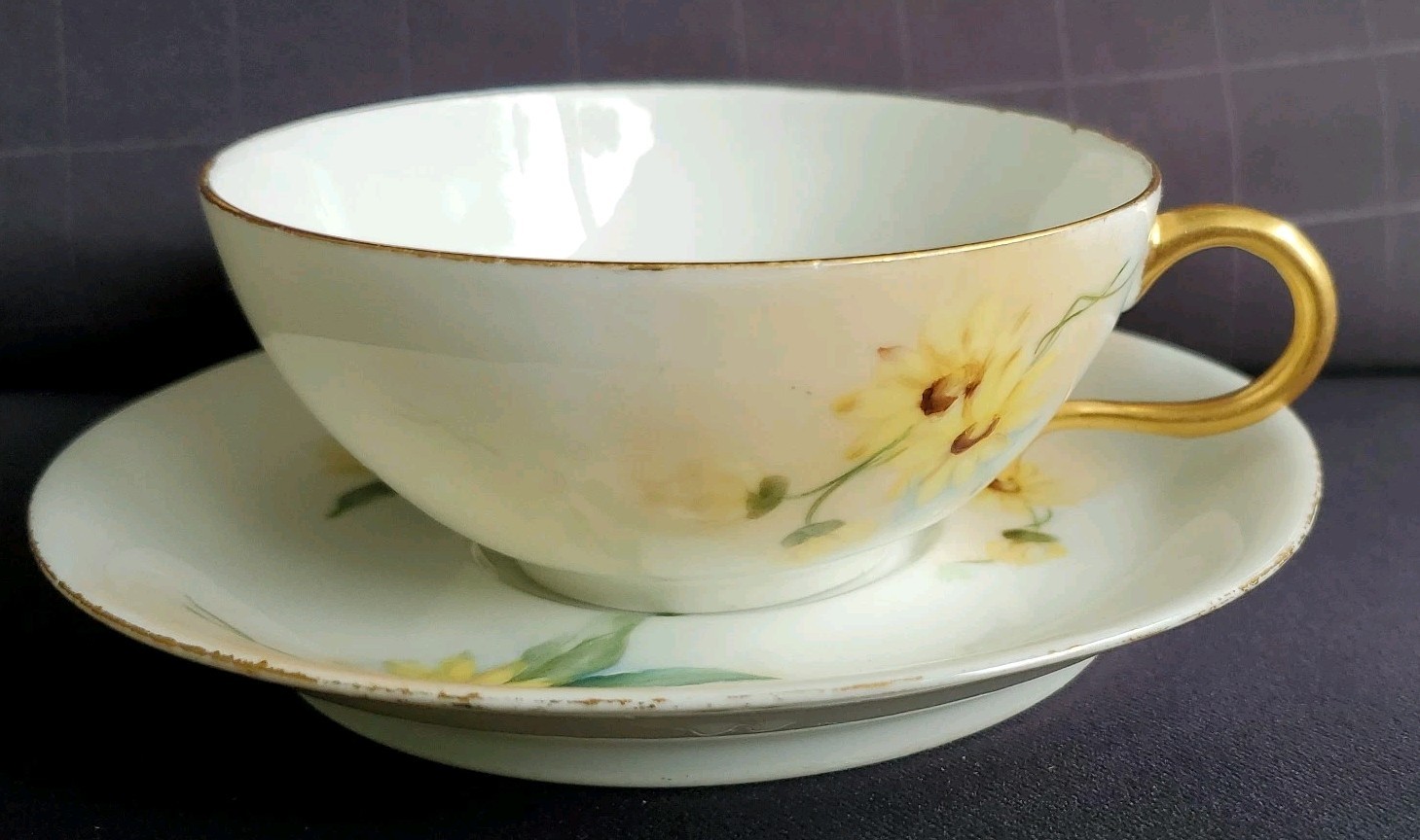 Antique J.P. L. Limoges France Hand Painted Tea Cup & Saucer Set Teacup, Daisies