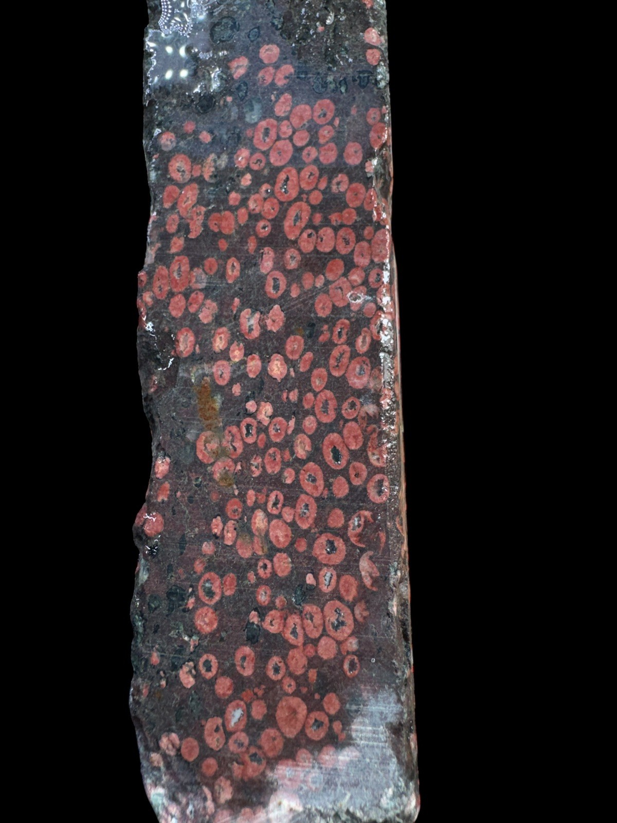 Plum blossom rough stone for lapidary. Unique and rare stone excellent pattern 