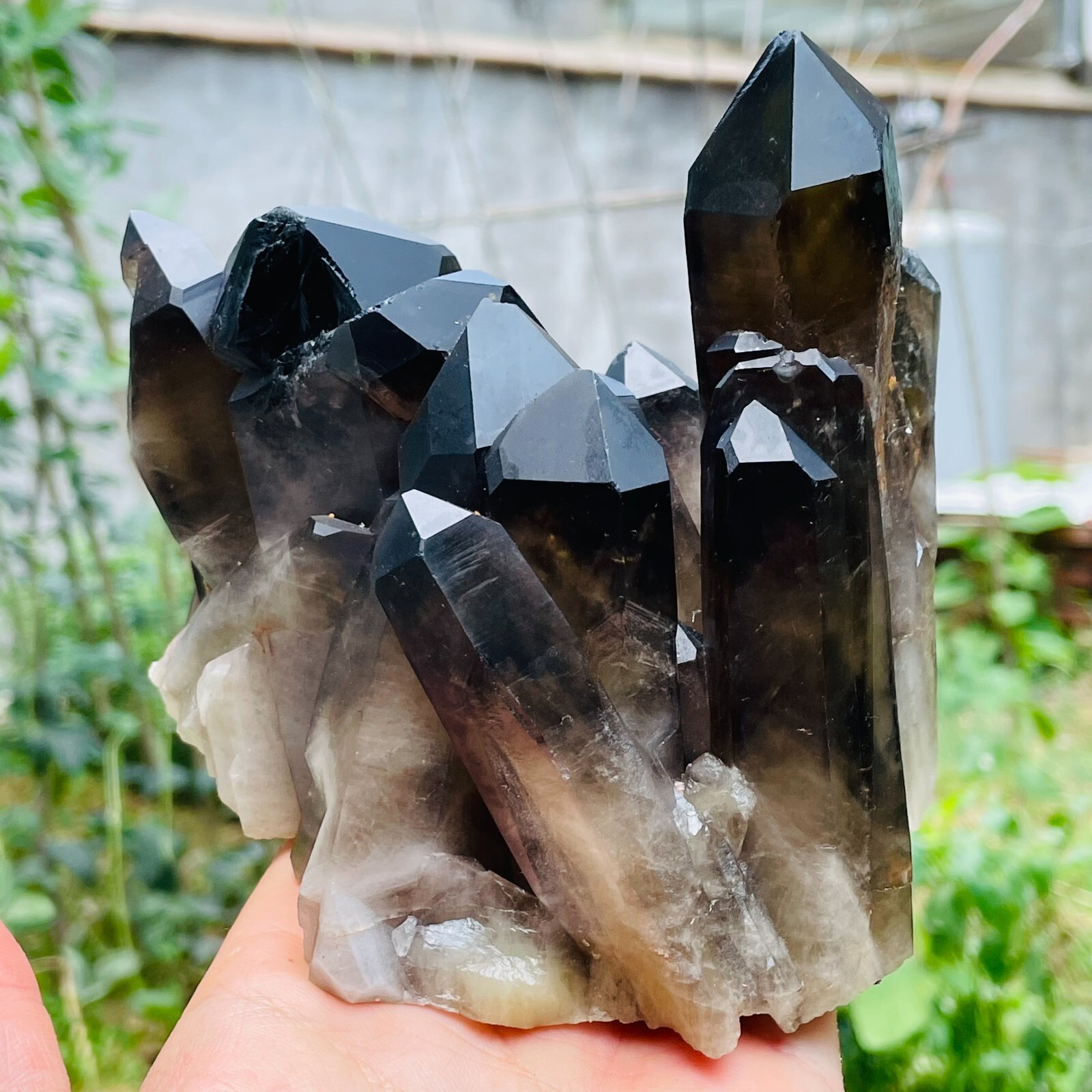 3.49lb Large Beautiful Smoky Black Quartz Crystal Cluster Rough Specimen