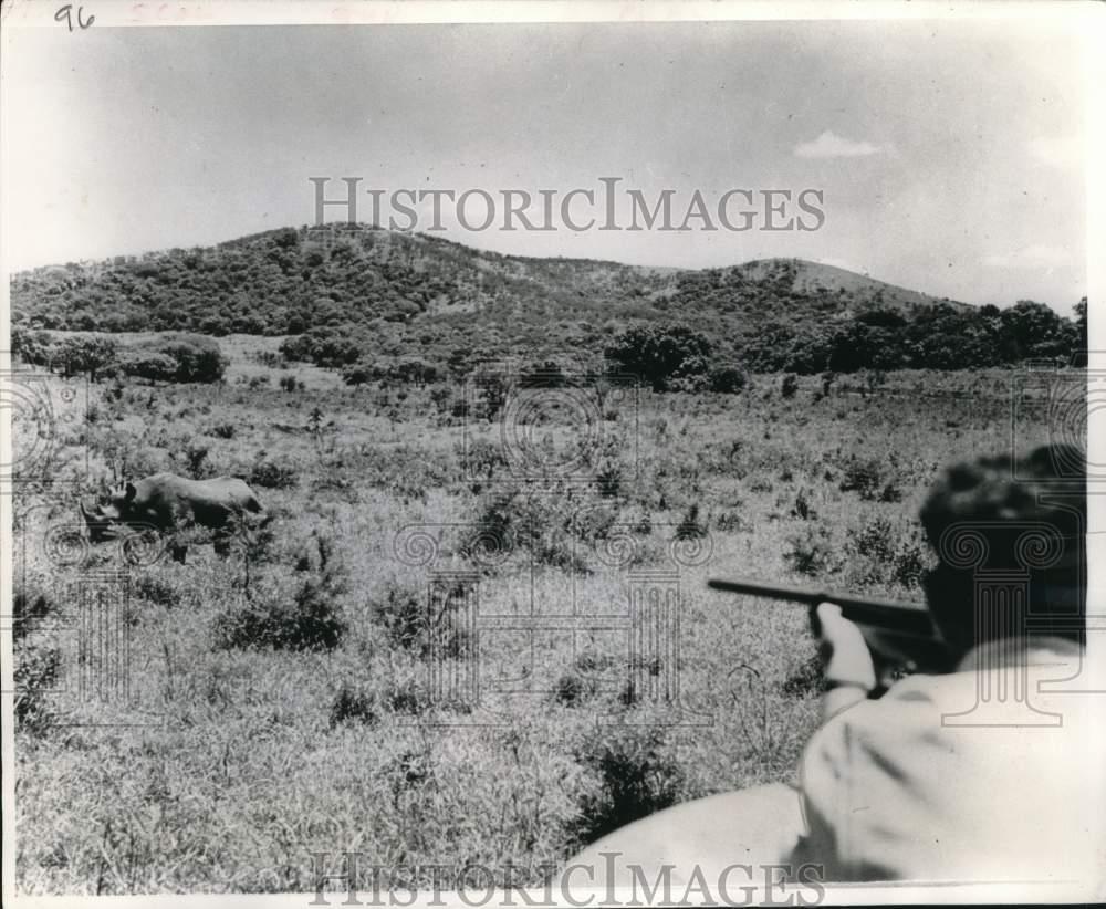 1970 Press Photo Johannesburg, South Africa - Radio equipped Rhinoceros.