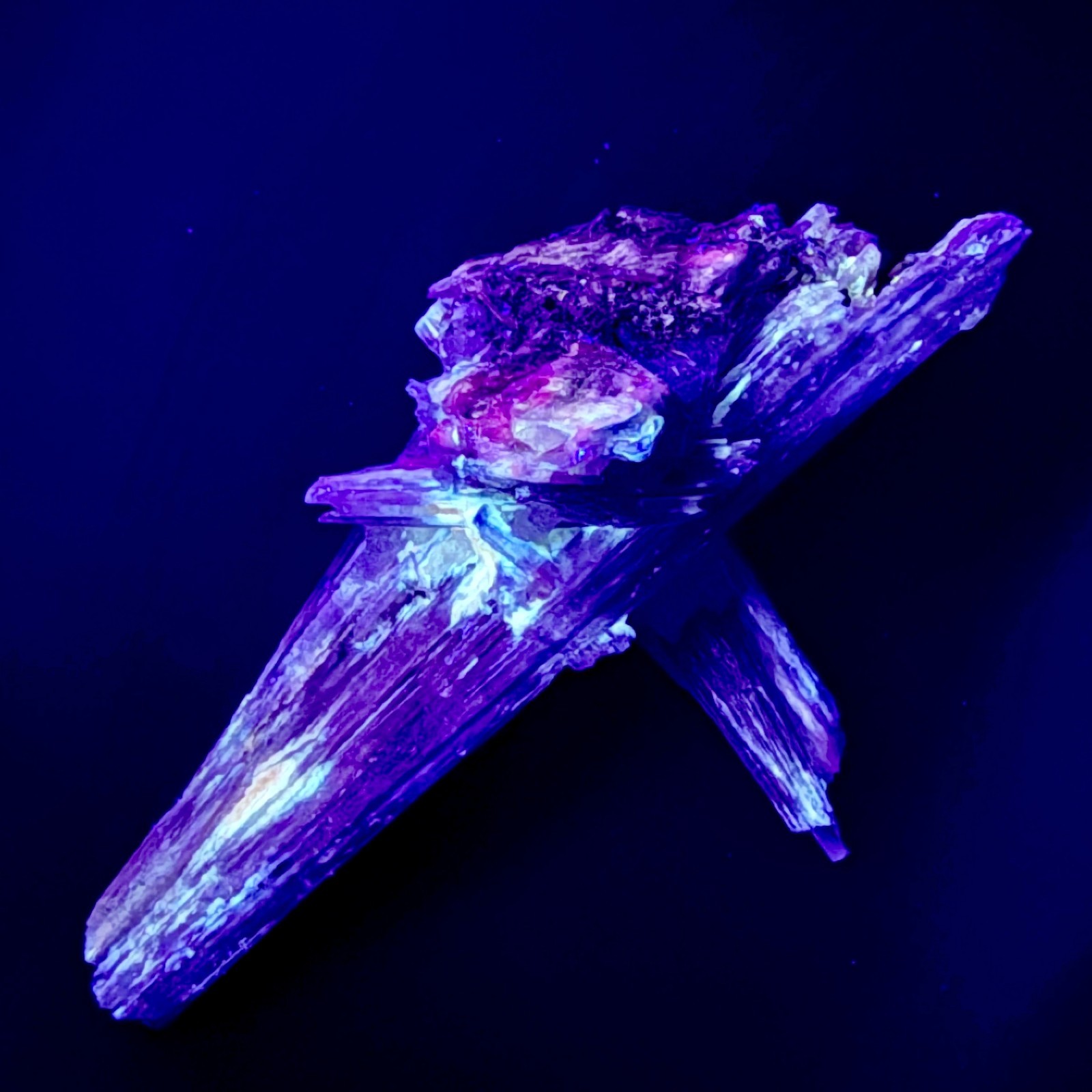 Rare Blue Kyanite Crystal Cross Bladed Cluster Brazil UV Fluorescent Stand 360g