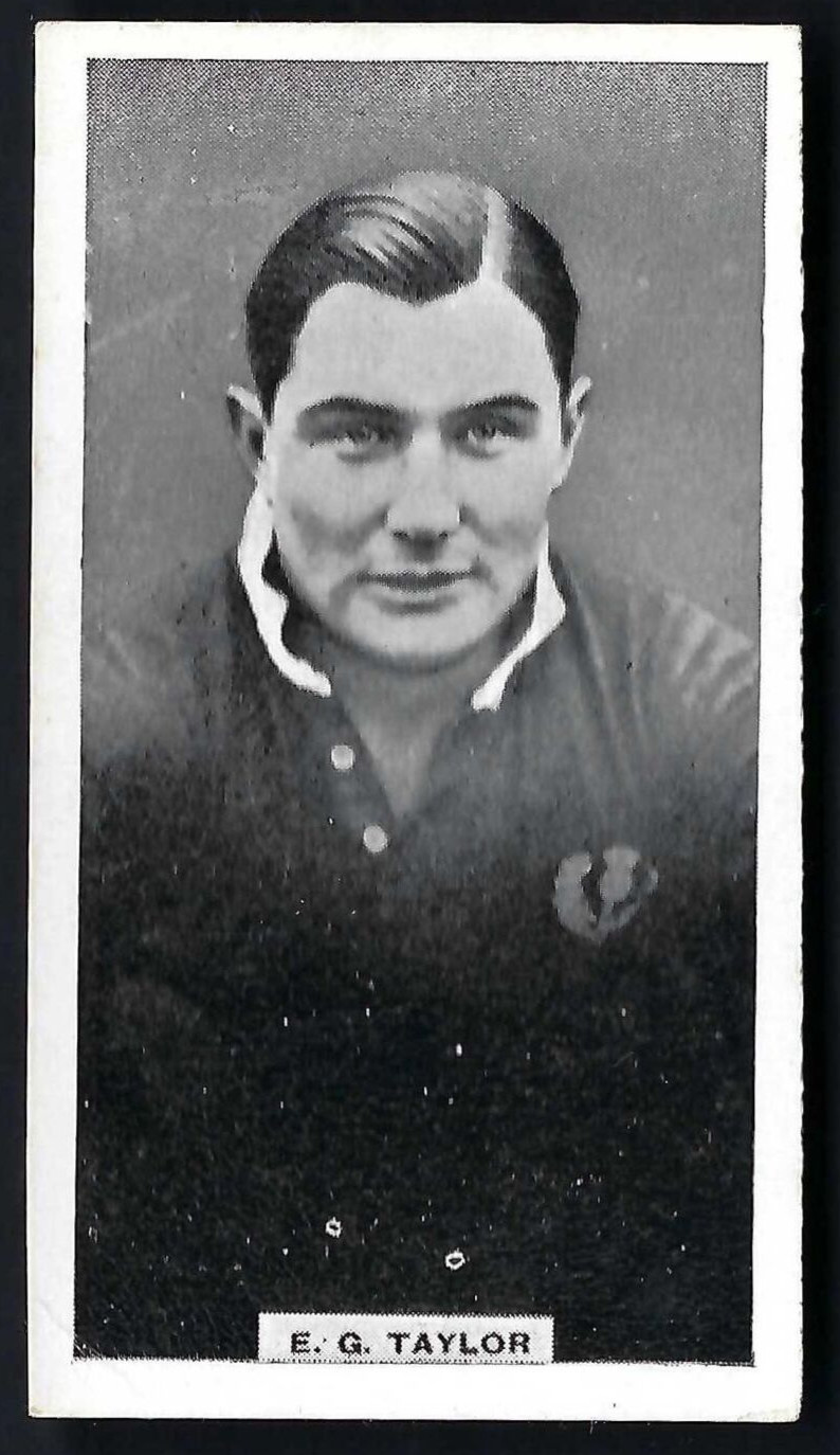WILLS (NZ) - BRITISH RUGBY PLAYERS - #31 E G TAYLOR