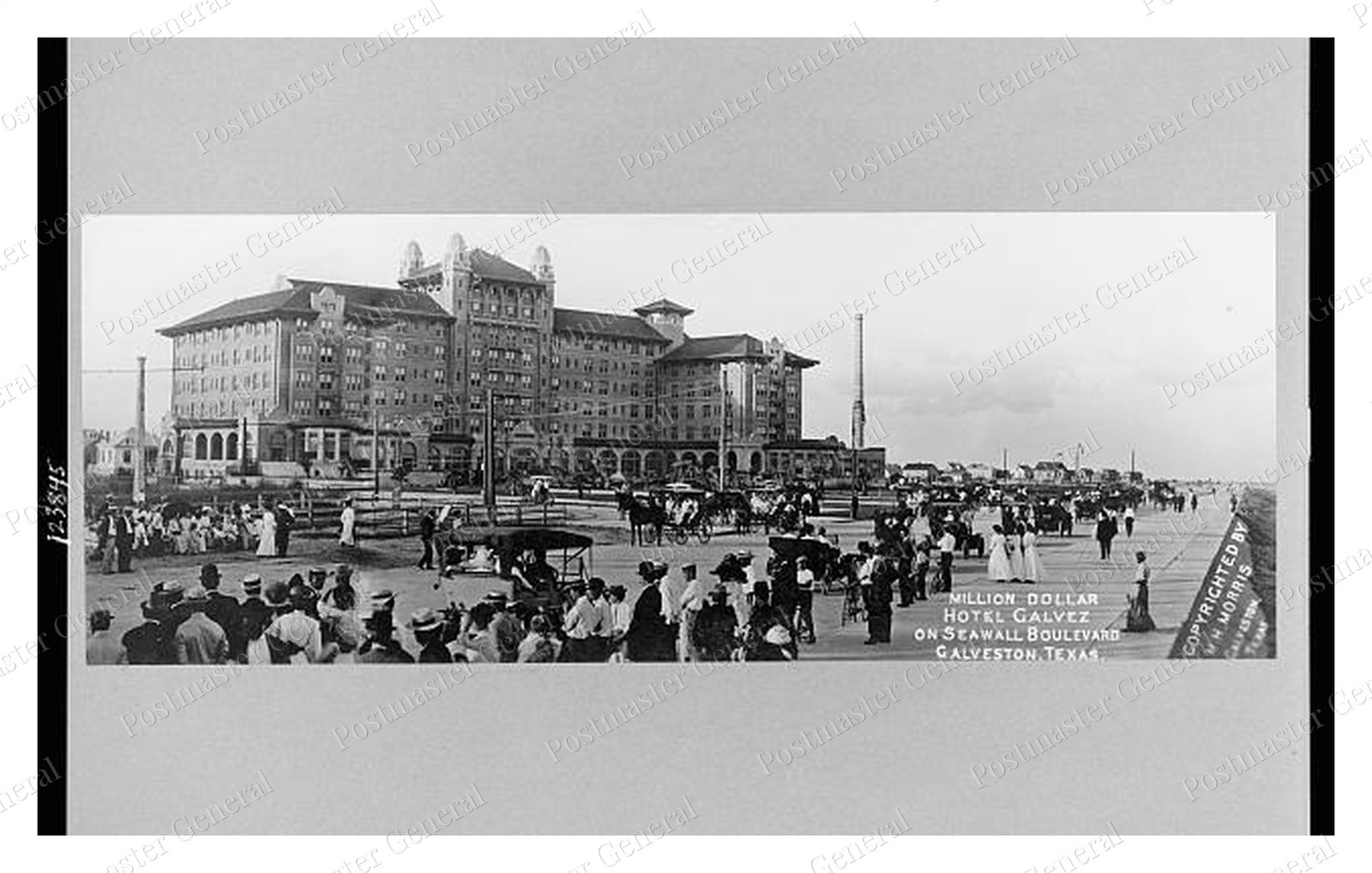 Galveston Texas Hotel Galvez Standard Postcard COPY RPPC Galveston Texas Hotel Galvez Standard Postcard COPY RPPC