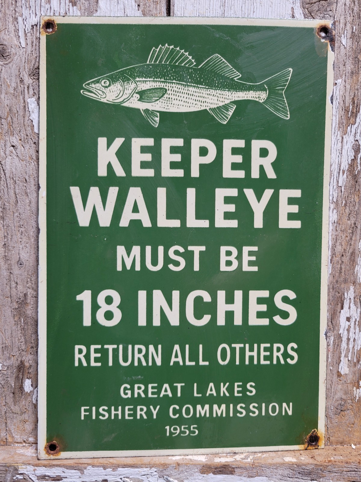 VINTAGE GREAT LAKES PORCELAIN SIGN OLD 1955 FISHERY COMMISSION WALLEYE FISHING