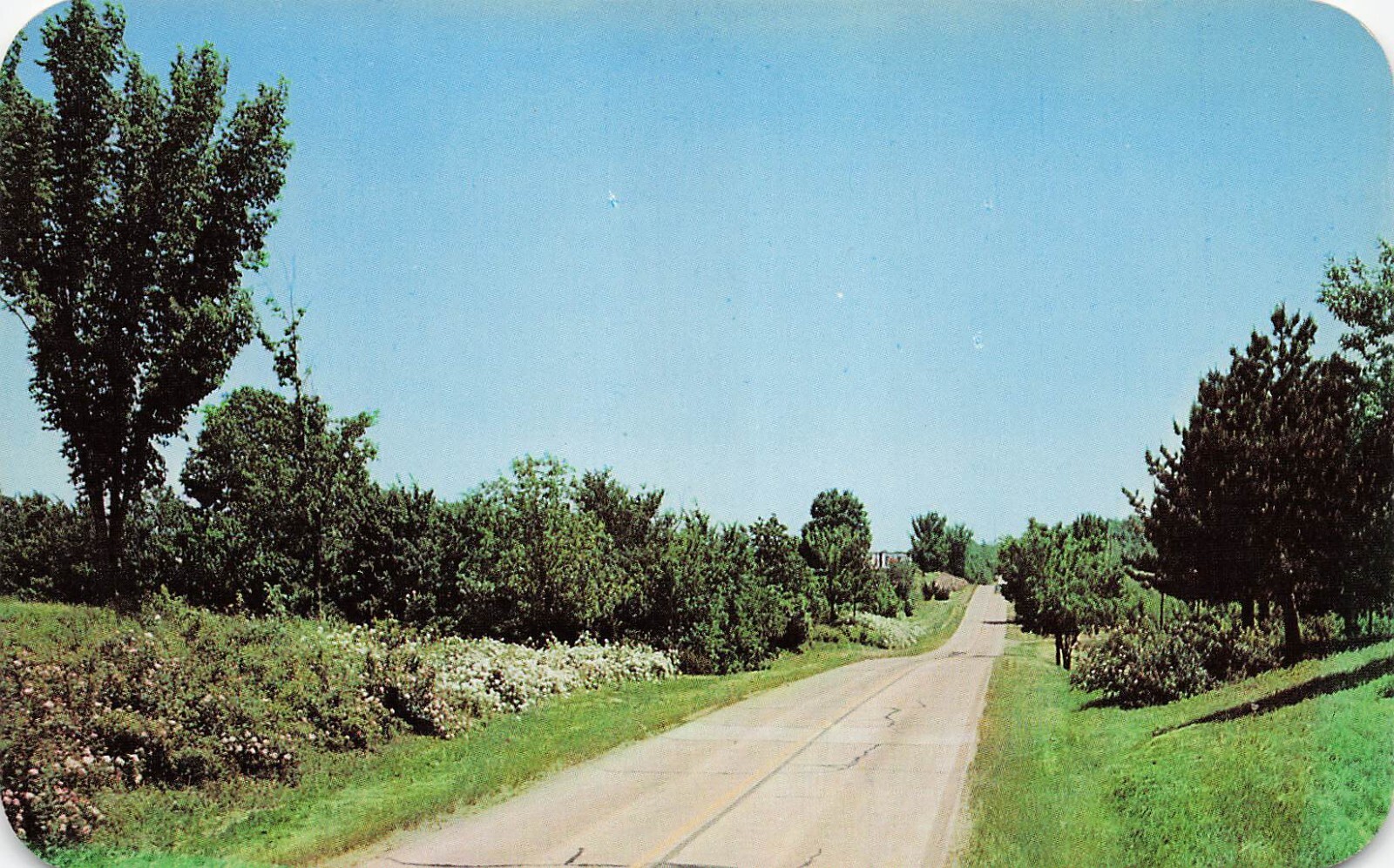 Cape Girardeau MO Missouri Ten Mile Garden Botanical Hwy 61 Vtg Postcard E12
