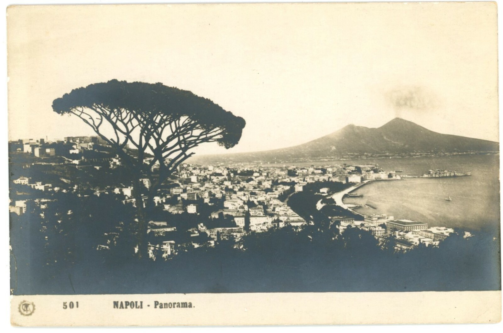 Naples Italy Panorama Mount Vesuvius Bay View RPPC Postcard Traldi & C Unused