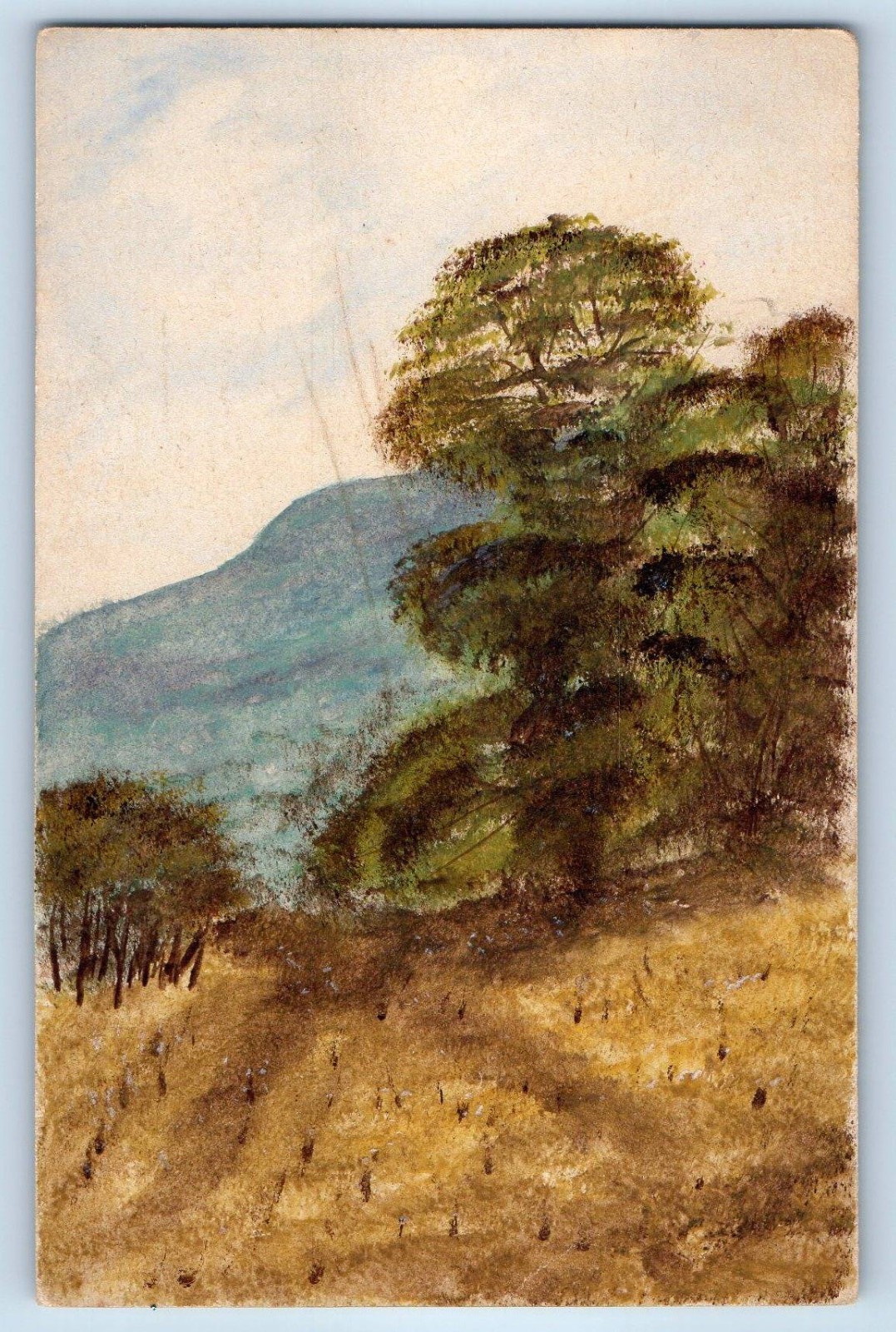 c1910's Trees And Mountain Scene Hand Drawn Art Unposted Antique Postcard
