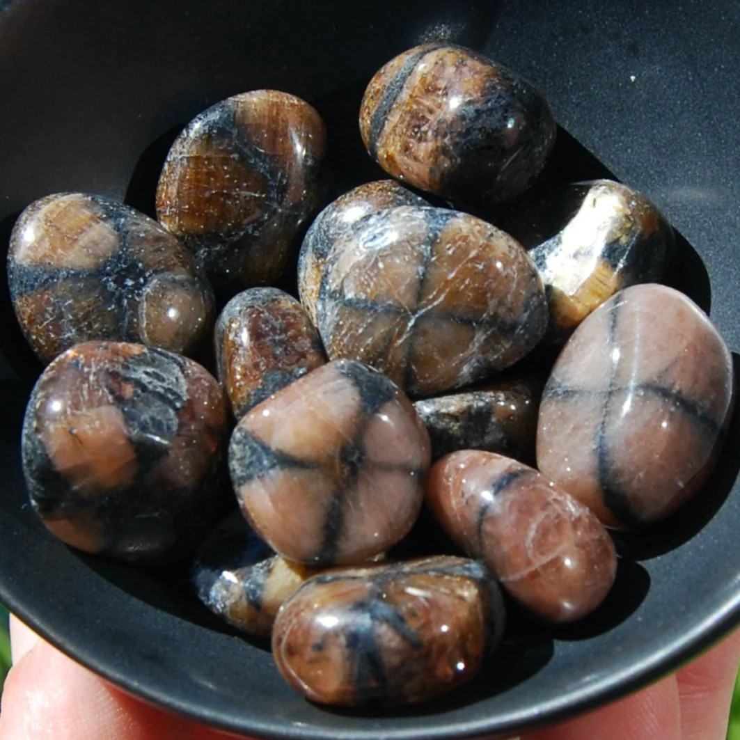 ONE Chiastolite Tumbled Stone, Andalusite Crystal from Spain, Small ONE Chiastolite Tumbled Stone, Andalusite Crystal from Spain, Small