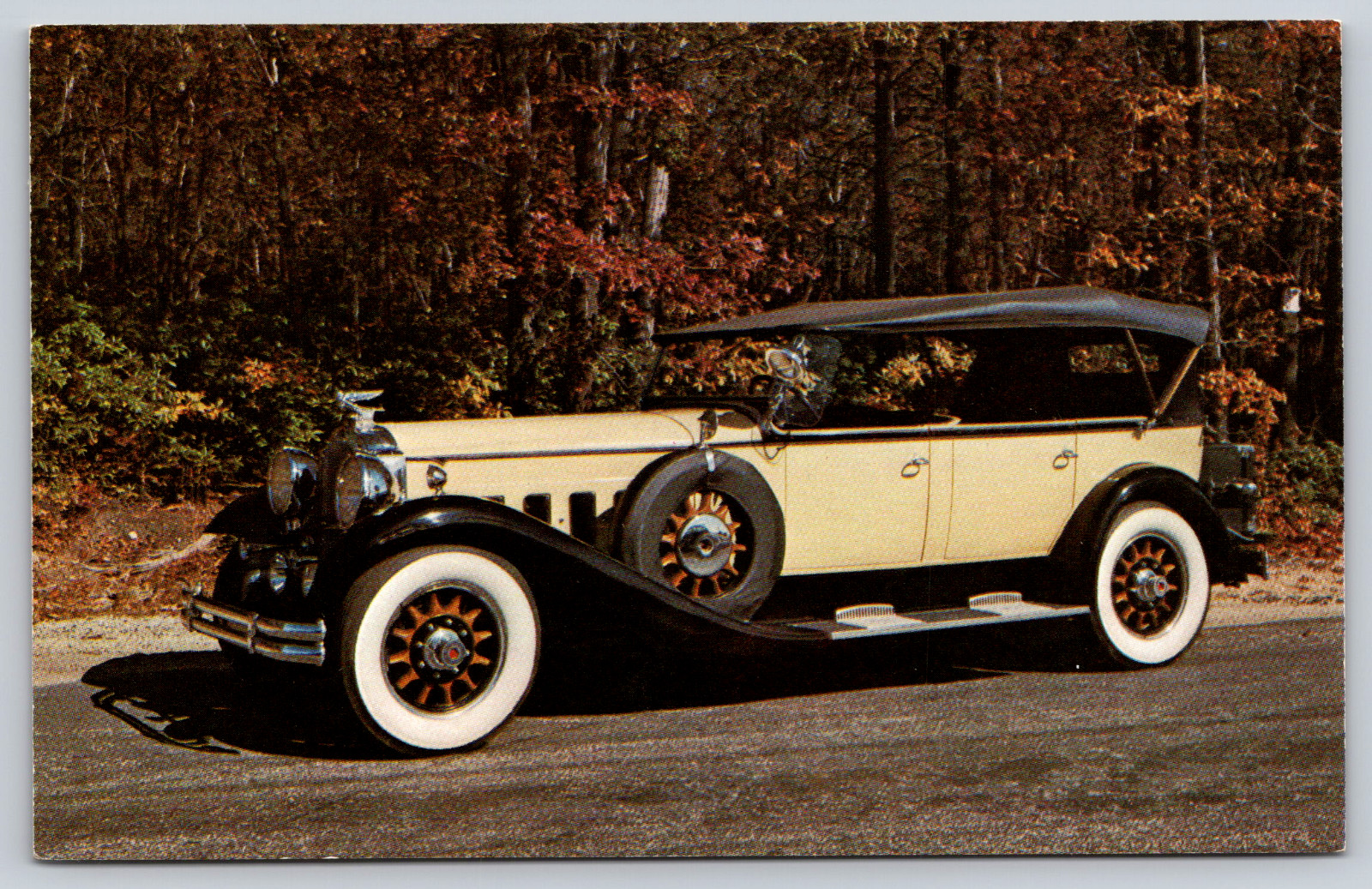 Postcard New Jersey Antique Auto Museum 1929 Packard Super 8 Seven Pass Phaeton