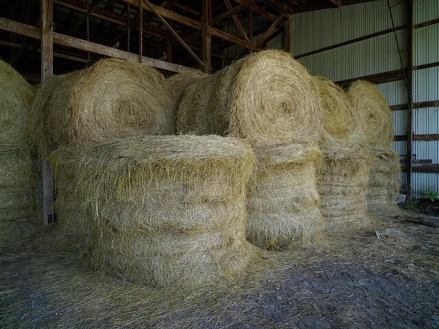 Photo:Hay rolls in a shed on the outskirts of Carrollton, Kentucky