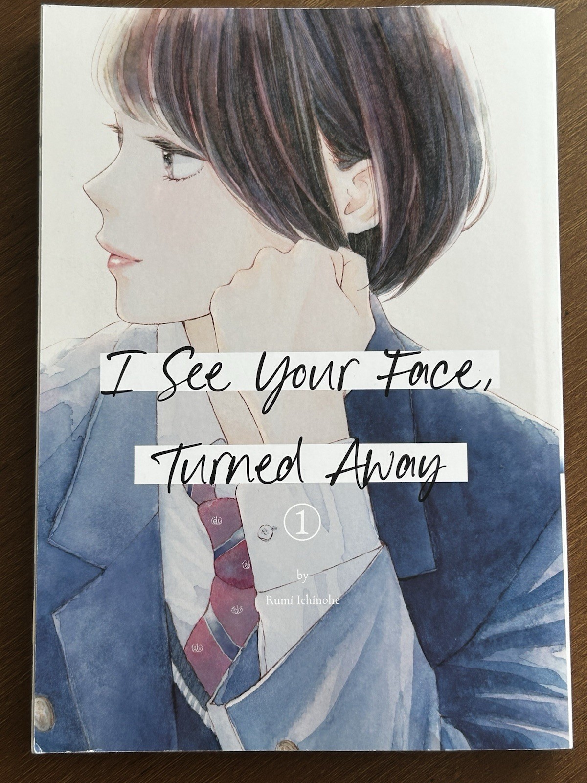 I See Your Face, Turned Away By Rumí Ichínohe