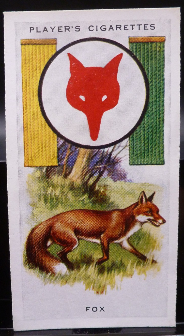 1933 John Player & Sons Tobacco Card Boy Scout & Girl Guide, #7 Fox GD/VG