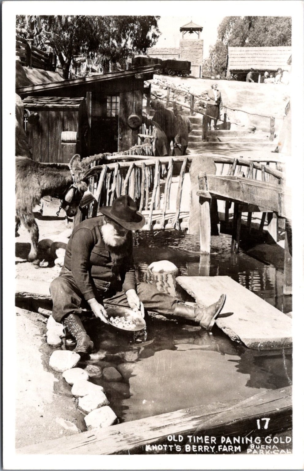 Knott's Berry Farm OLD TIMER PANING GOLD RPPC Buena Park CA Postcard