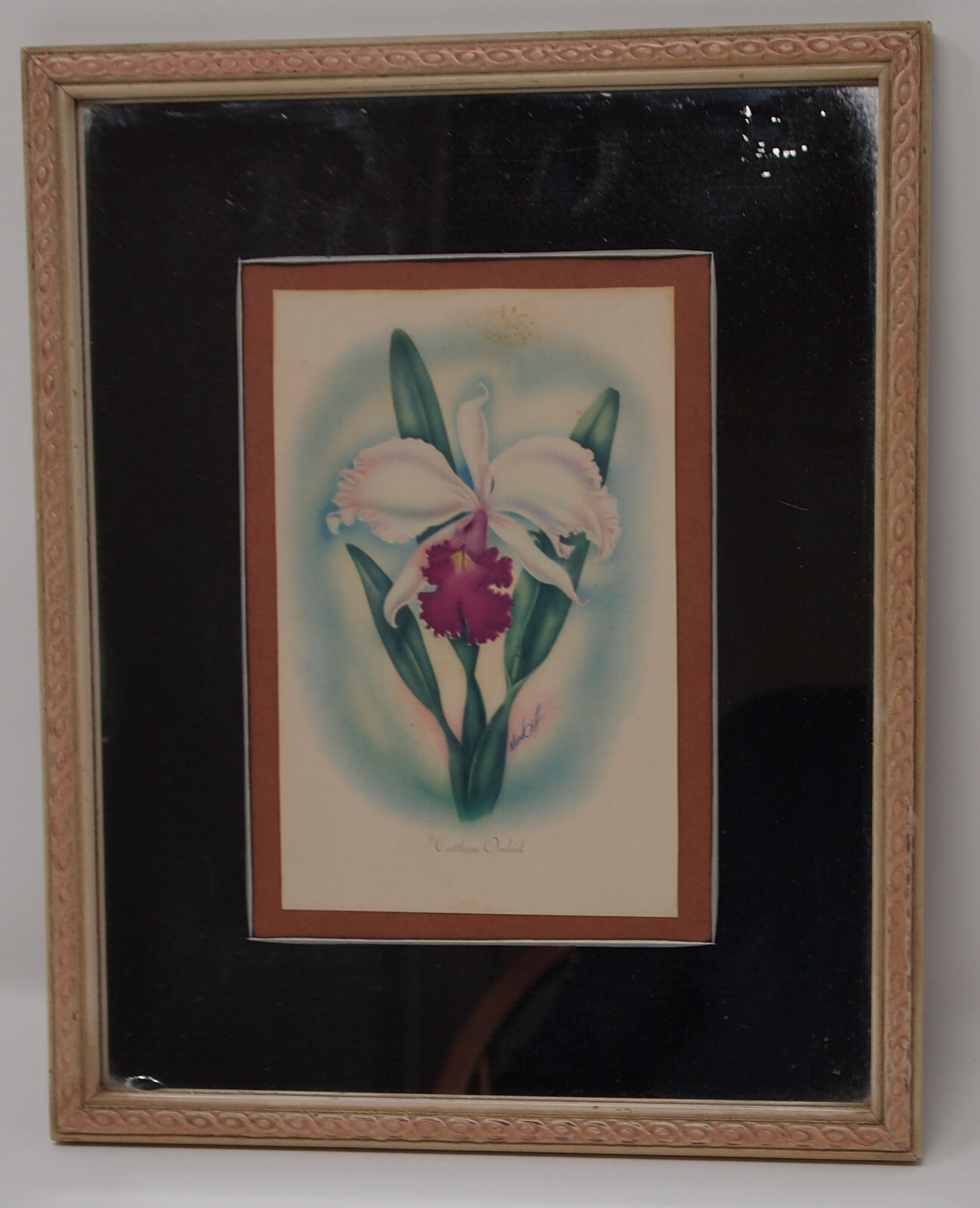 Ted Mundorff White Cattleya Orchid Airbrushed Print Painting Mirror Ted Mundorff White Cattleya Orchid Airbrushed Print Painting Mirror