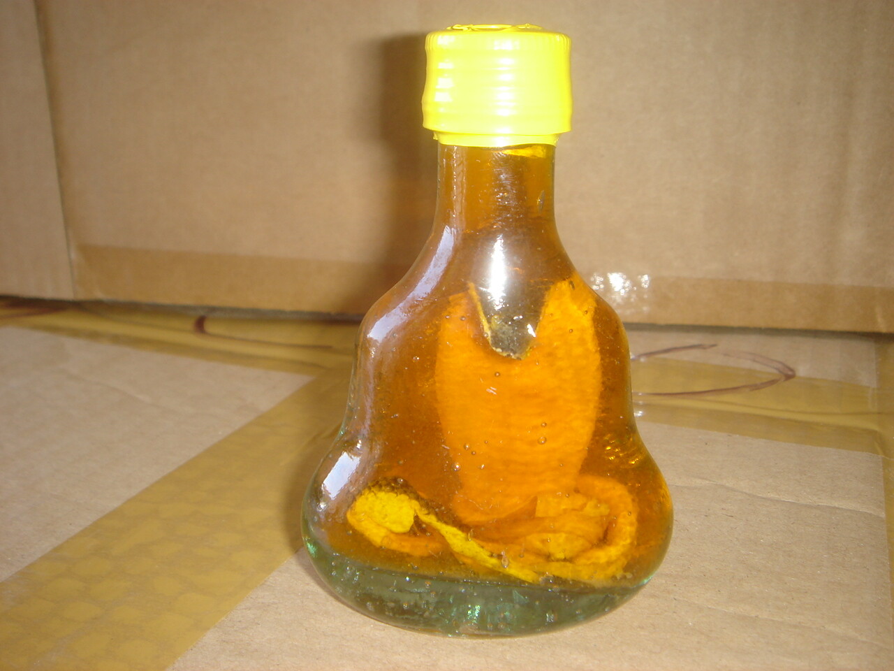 real cobra snake in a small X O glass bottle 4\