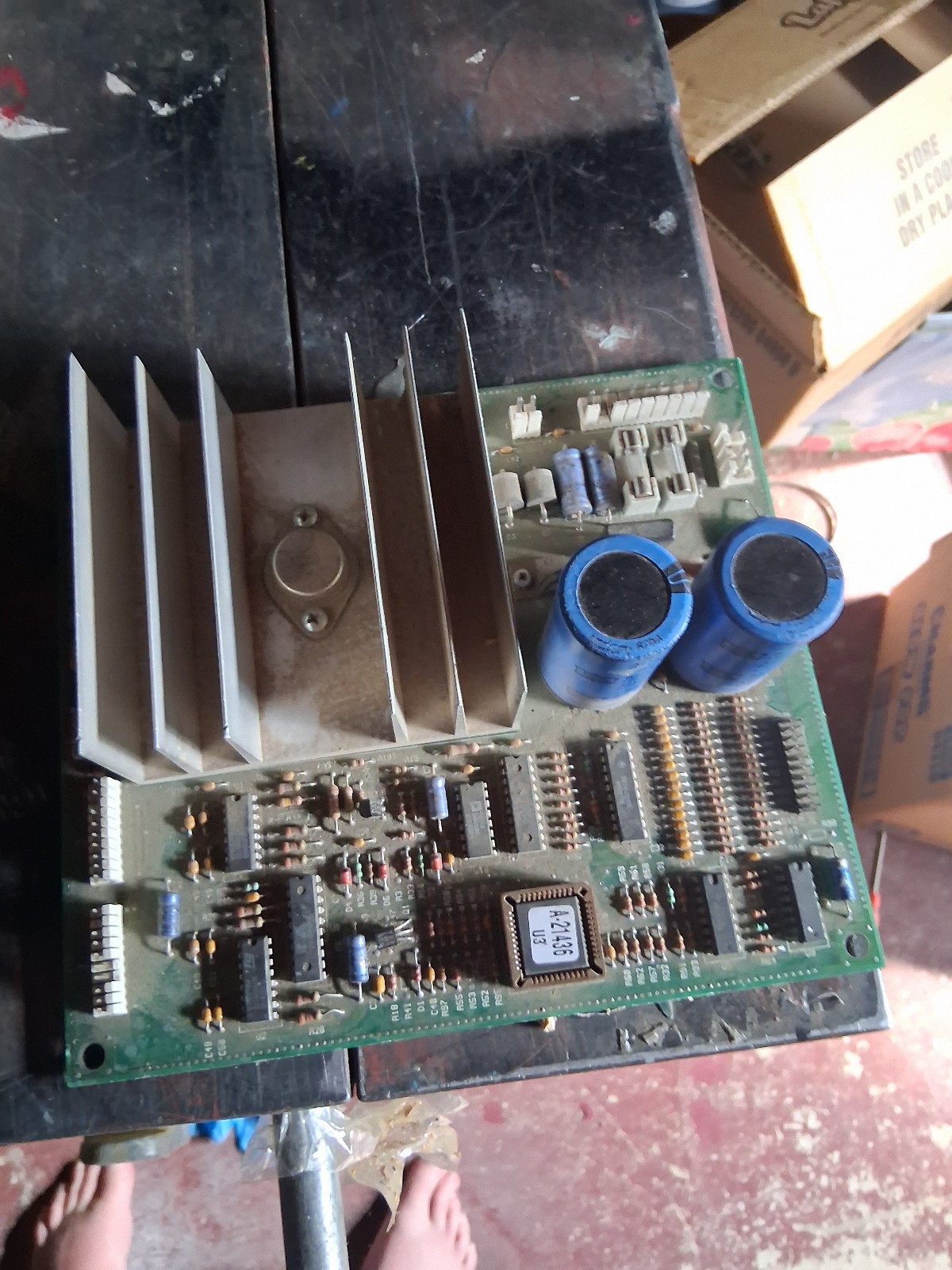 crusin world wheel driver board