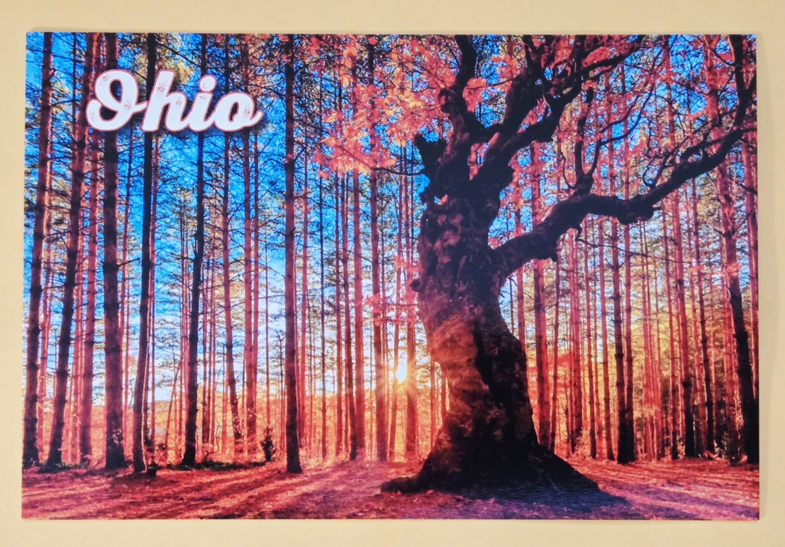  Postcard OH: Autumn. Ohio 