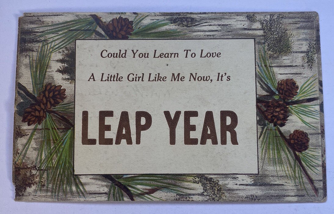 Vintage Postcard c1912 ~ It\'s Leap Year Could You Love a Girl Like me? ~ Ohio