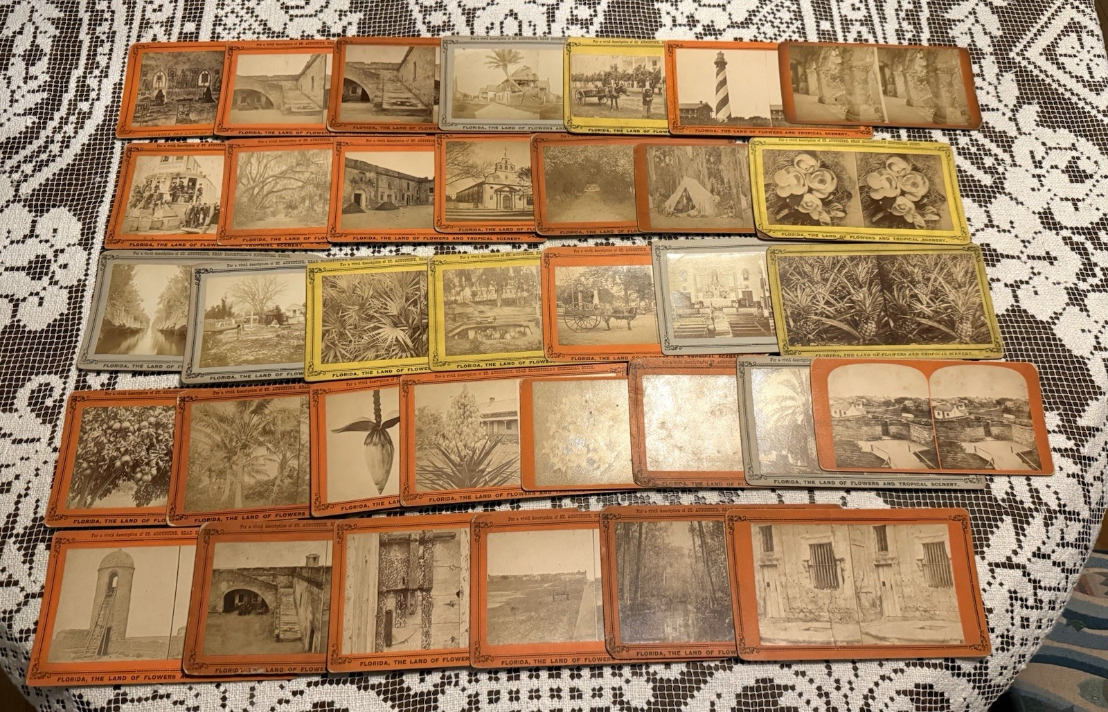 Stereoview Lot of 35 Florida “The Land of Flowers & Tropical Scenery “ See Photo