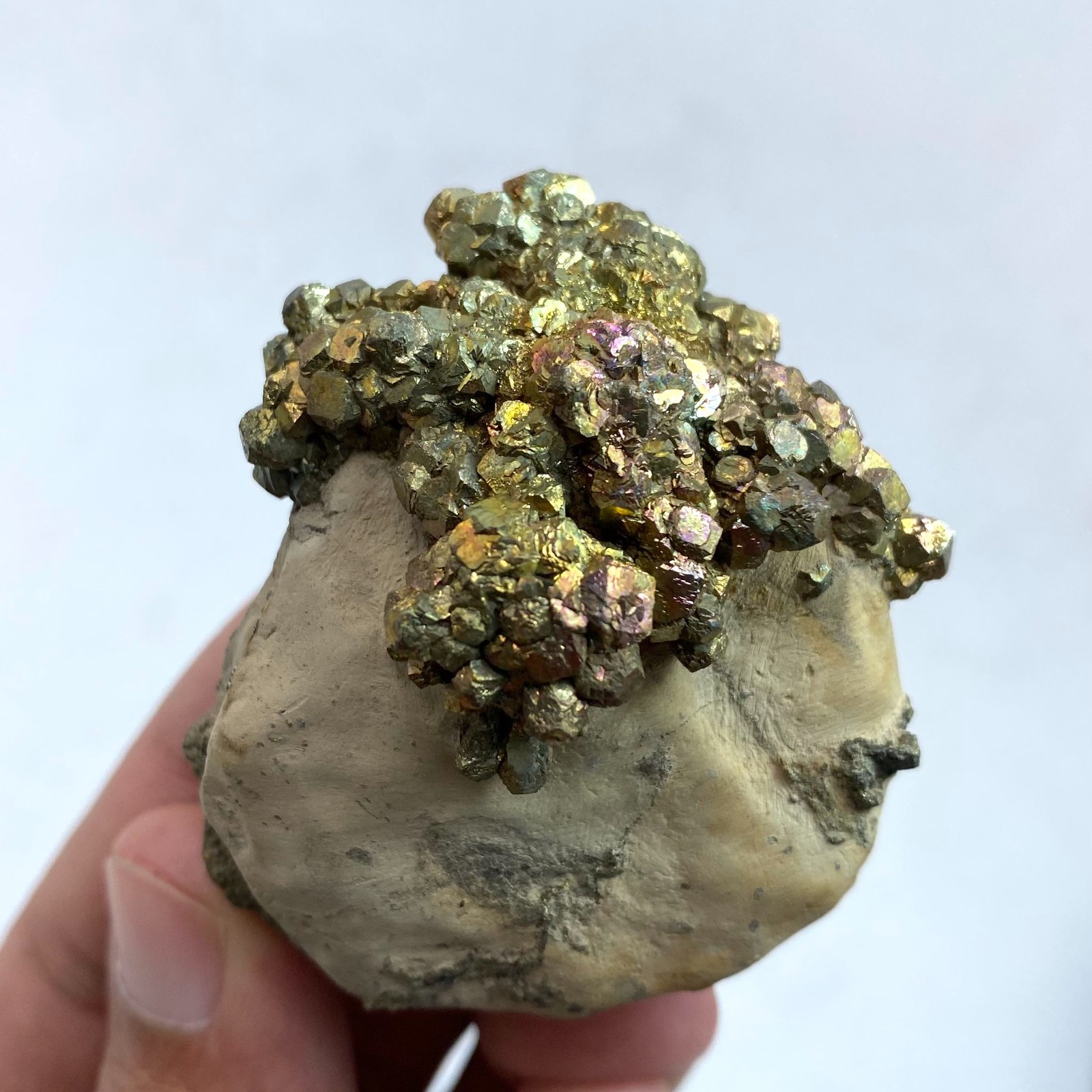 Rainbow Pyrite/Marcasite on Matrix , Pakistan Mineral Specimen , 109 Grams , Rainbow Pyrite/Marcasite on Matrix , Pakistan Mineral Specimen , 109 Grams ,