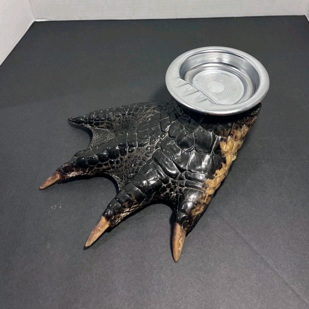Genuine American Alligator Foot Ashtray Taxidermy Gator Claw Oddity Approx. 10in