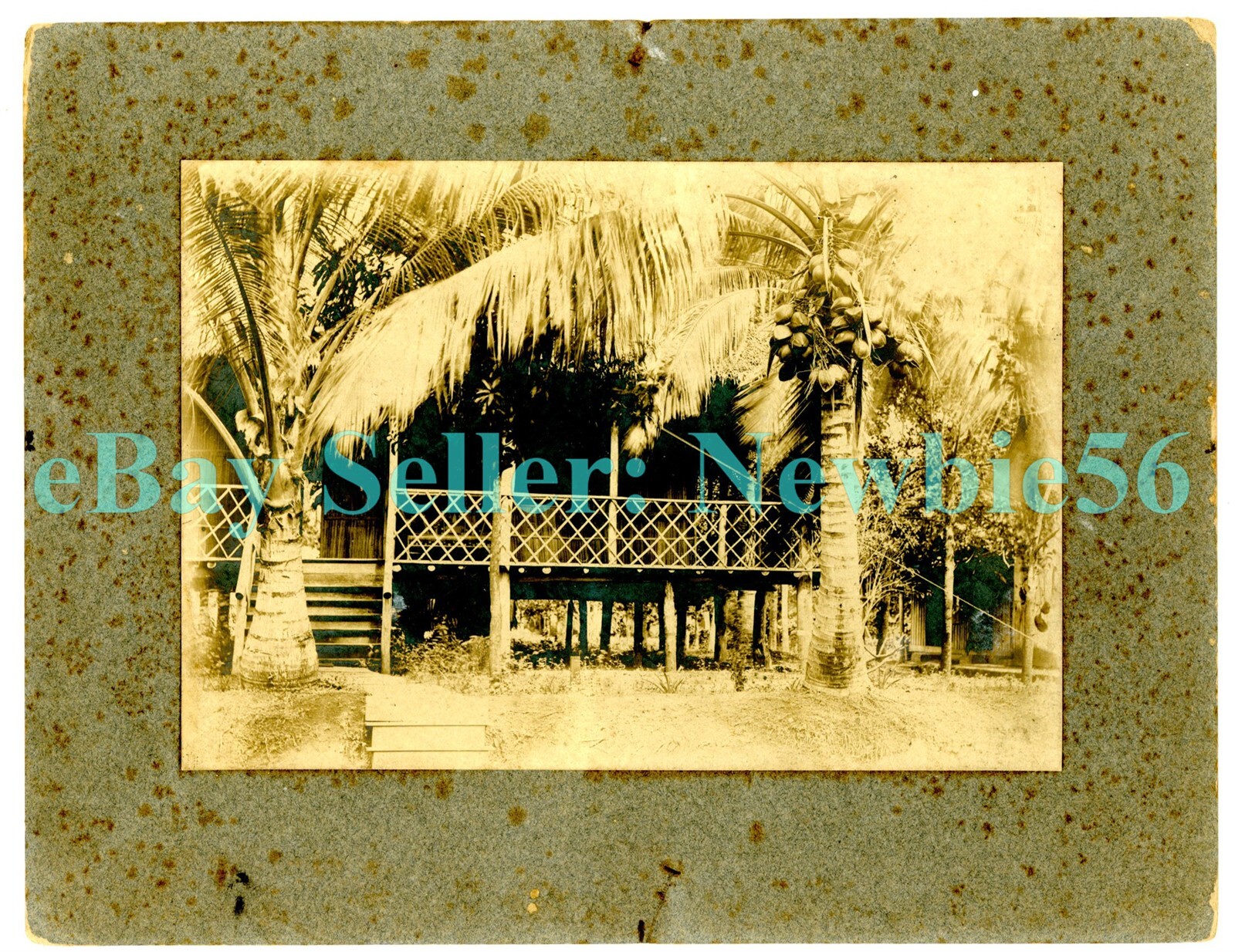Philippines - TYPICAL FILIPINO HOUSE - c1890s Vintage Photograph Manila/Pampanga