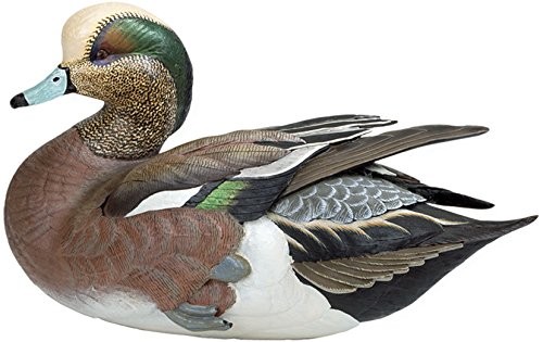 Wild Wings Weaver Bottoms - American Widgeon Large Decoy by Sam Nottleman