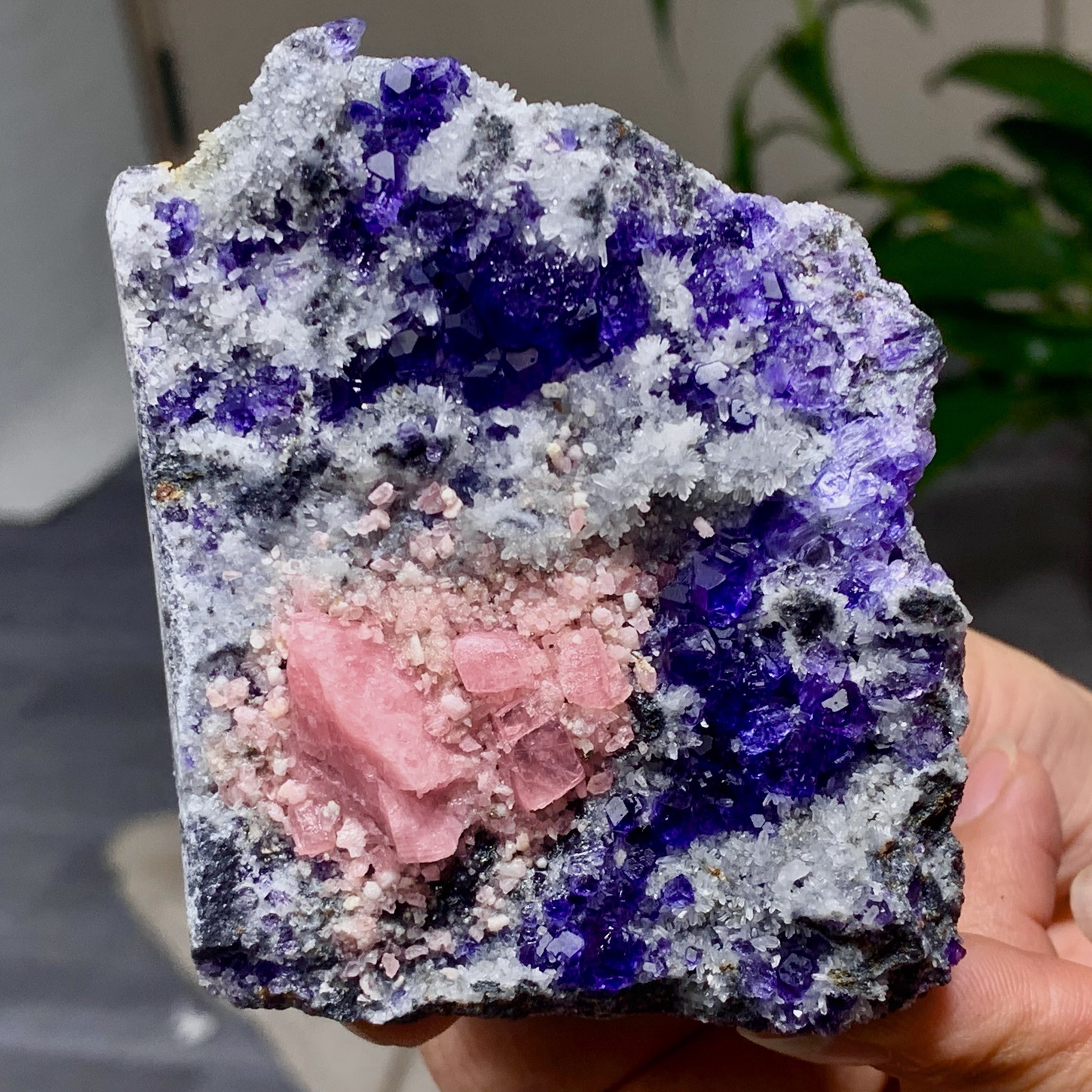 190G Natural rhodochrosite with purple fluorite crystal mineral specimen