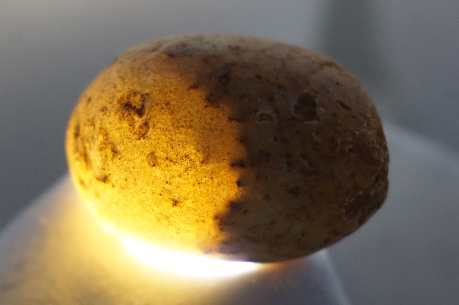 White Sheba - Cintamani - 20g - More rare than Saffordite Tektite #whx4
