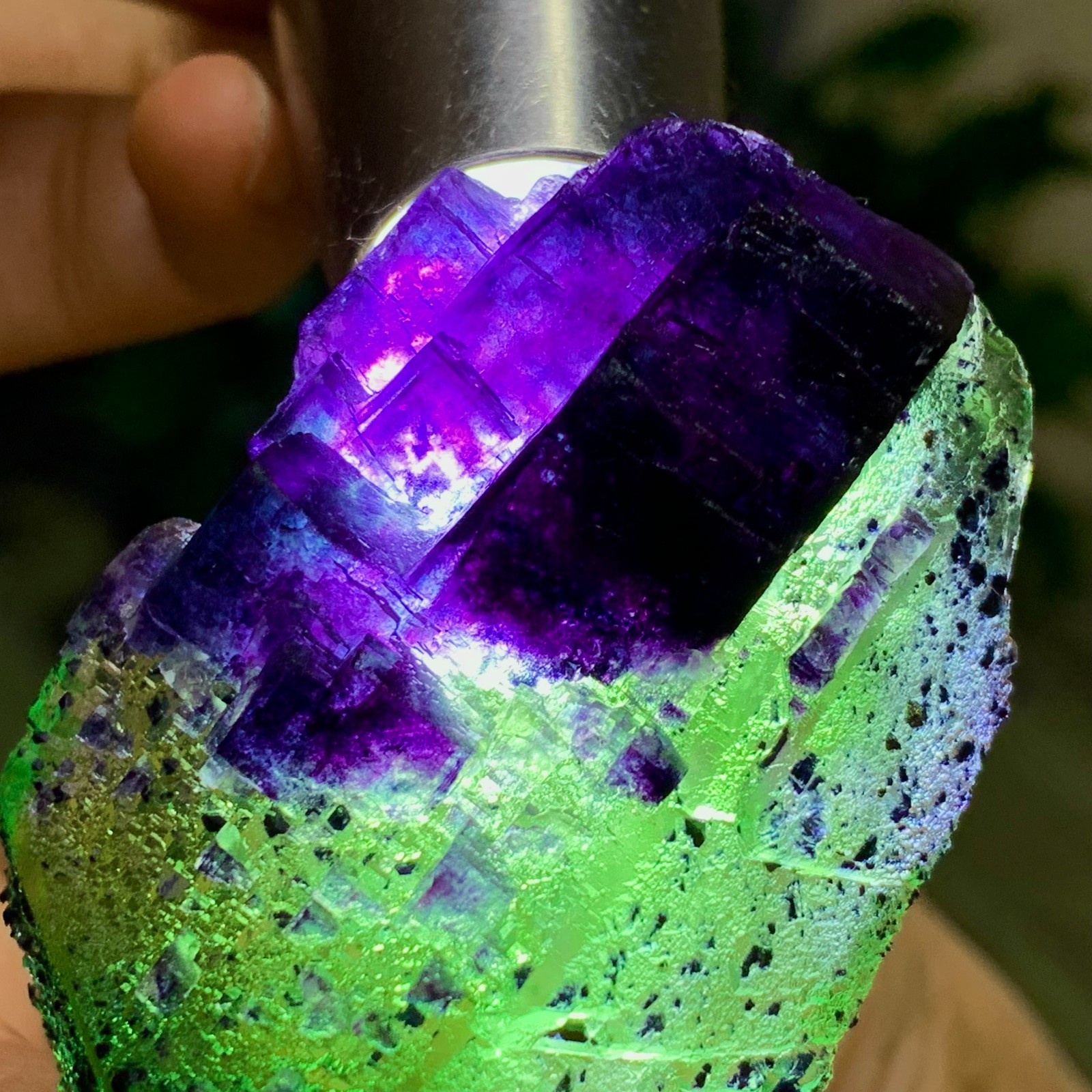 66G Rare transparent green purple cubic Zhejiang fluorite mineral sample