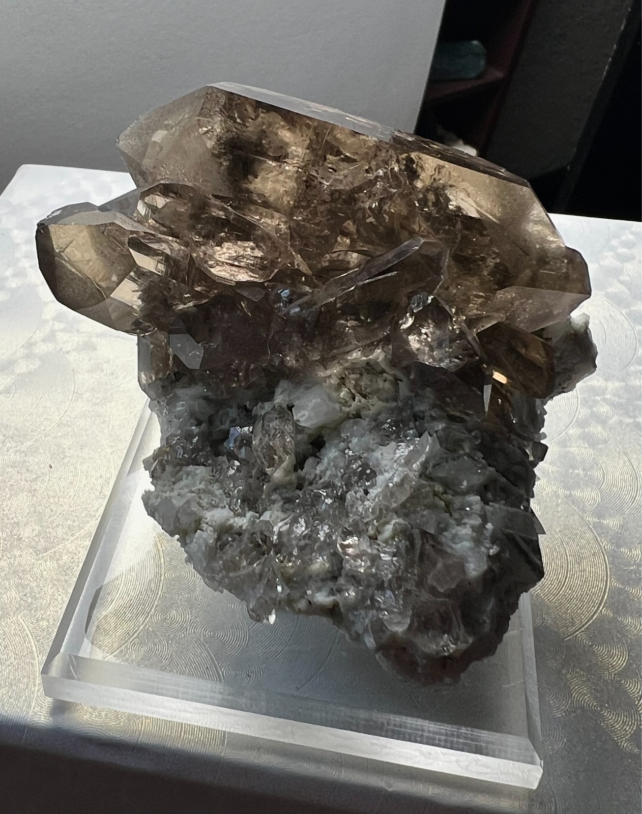 Swiss Smoky Quartz *Glassy* Cluster w Chlorite & Adularia -Goschenen Switzerland