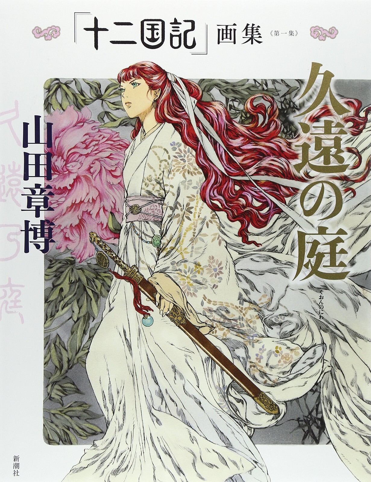 The Twelve Kingdoms Illustrations Vol.1 Akihiro Yamada Art Book Anime Japan