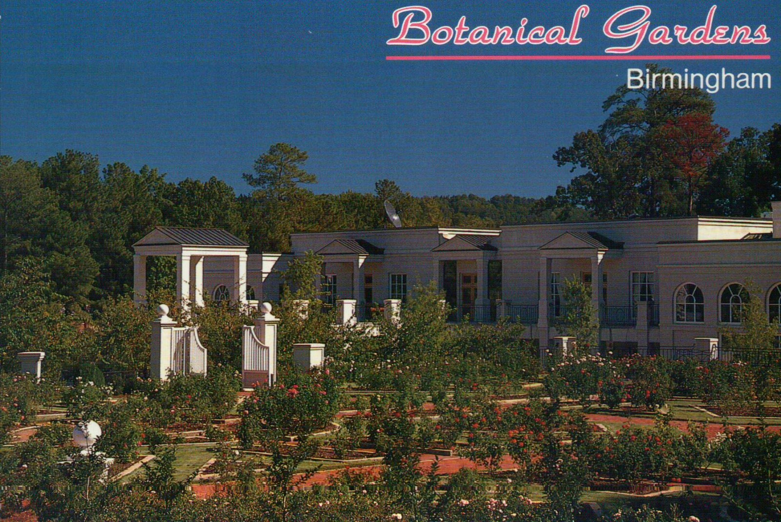 The Botanical Gardens, Birmingham, Alabama, View of the Rose Garden --- Postcard