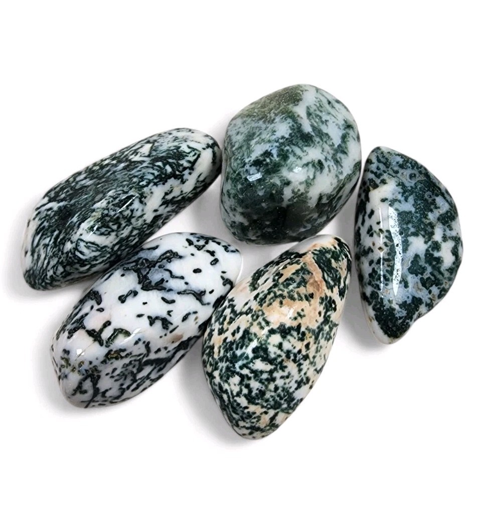 Agate Green Tree Polished Stones 96.2 grams. Agate Green Tree Polished Stones 96.2 grams.