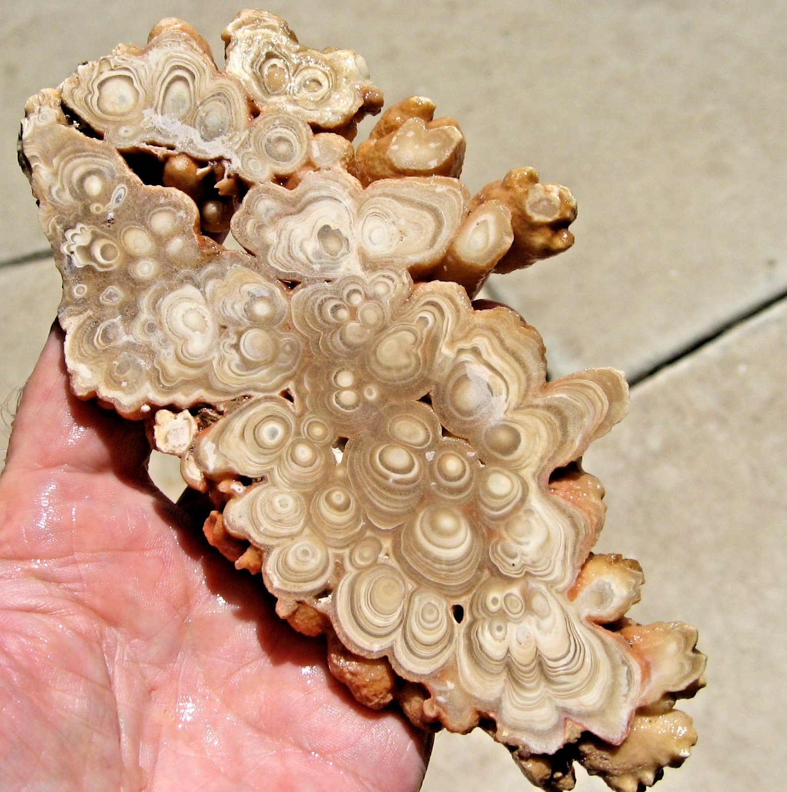 rle CAVE ONYX SLAB, KOKOWEEF, CALIF. 6.2\