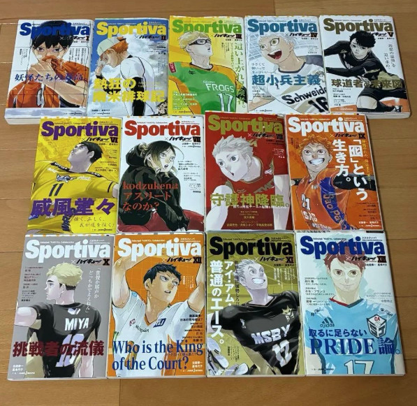 Haikyuu Novel Sportiva Version Complete Set 13 Volumes With Covers Japanese
