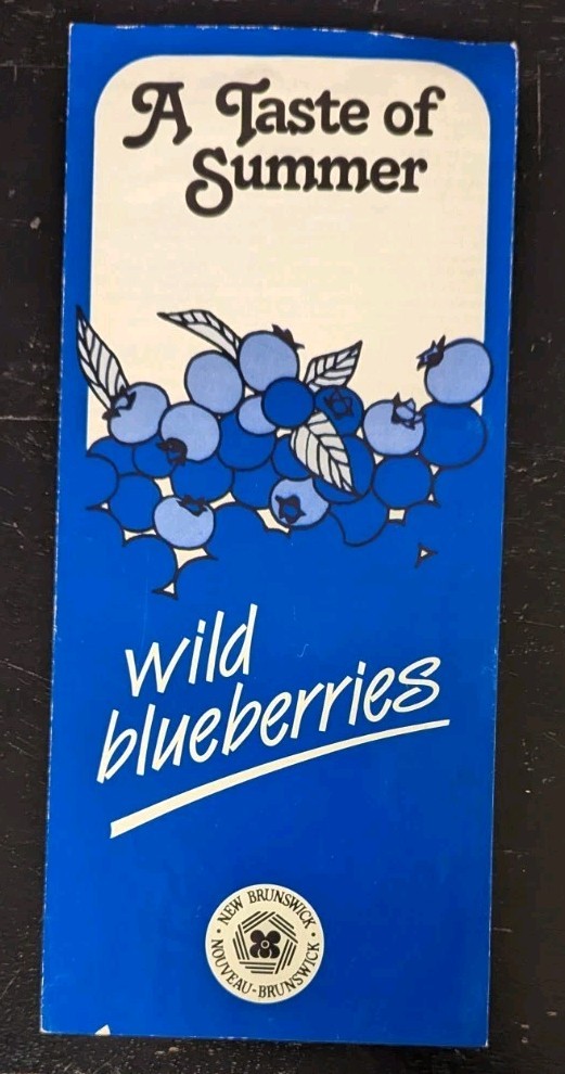 Vintage Wild Blueberry New Brunswick Recipe Booklet Pamphlet English And French