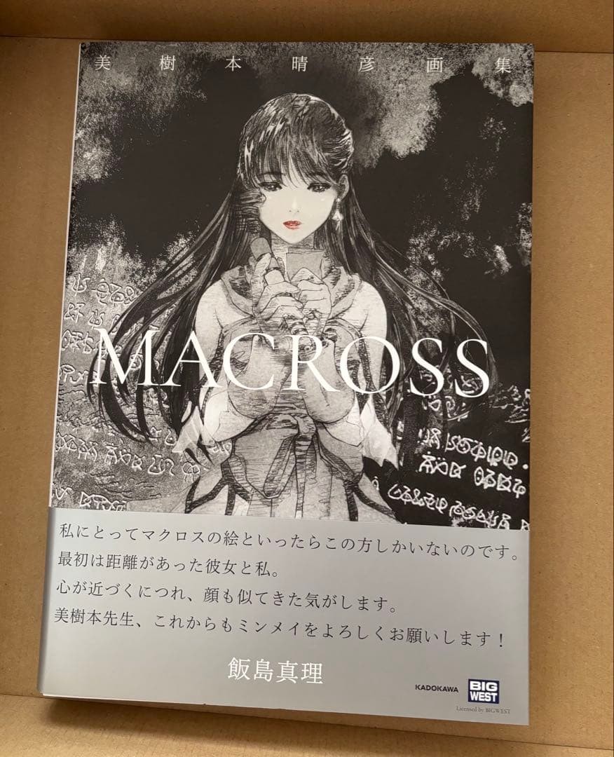 Macross Haruhiko Mikimoto Official Art Book Japan Anime Illustration