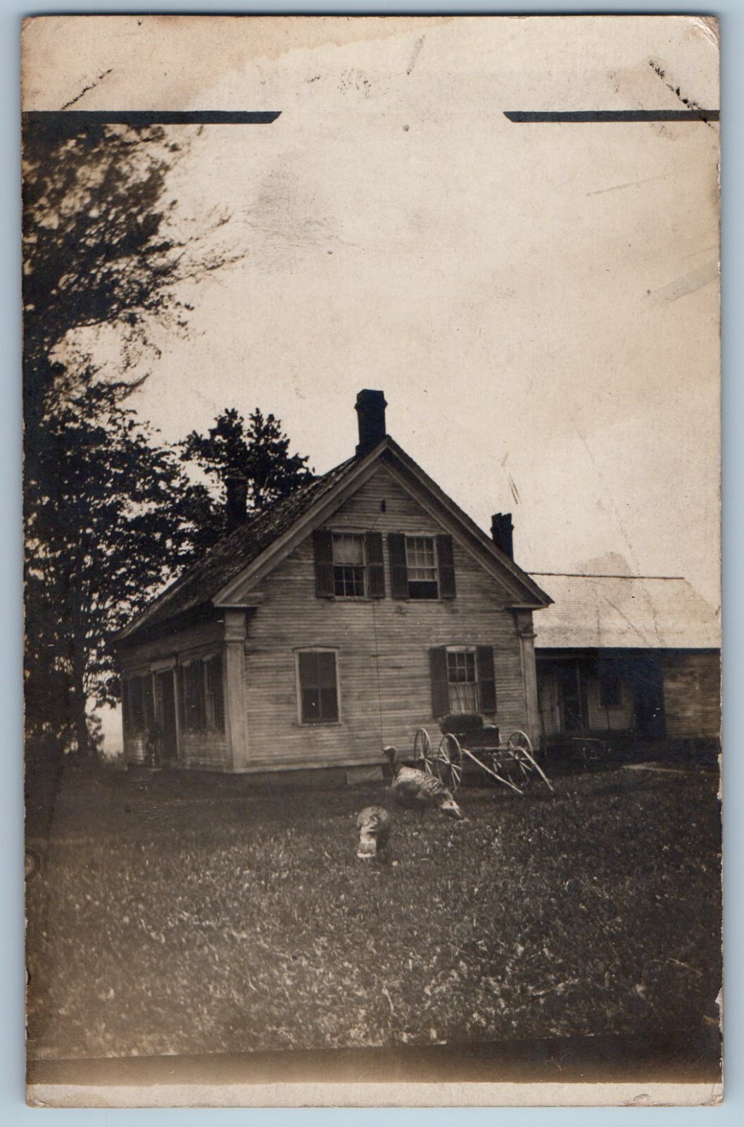 1909 Farm House Turkey East Calais Vermont VT RPPC Photo Posted Antique Postcard 1909 Farm House Turkey East Calais Vermont VT RPPC Photo Posted Antique Postcard