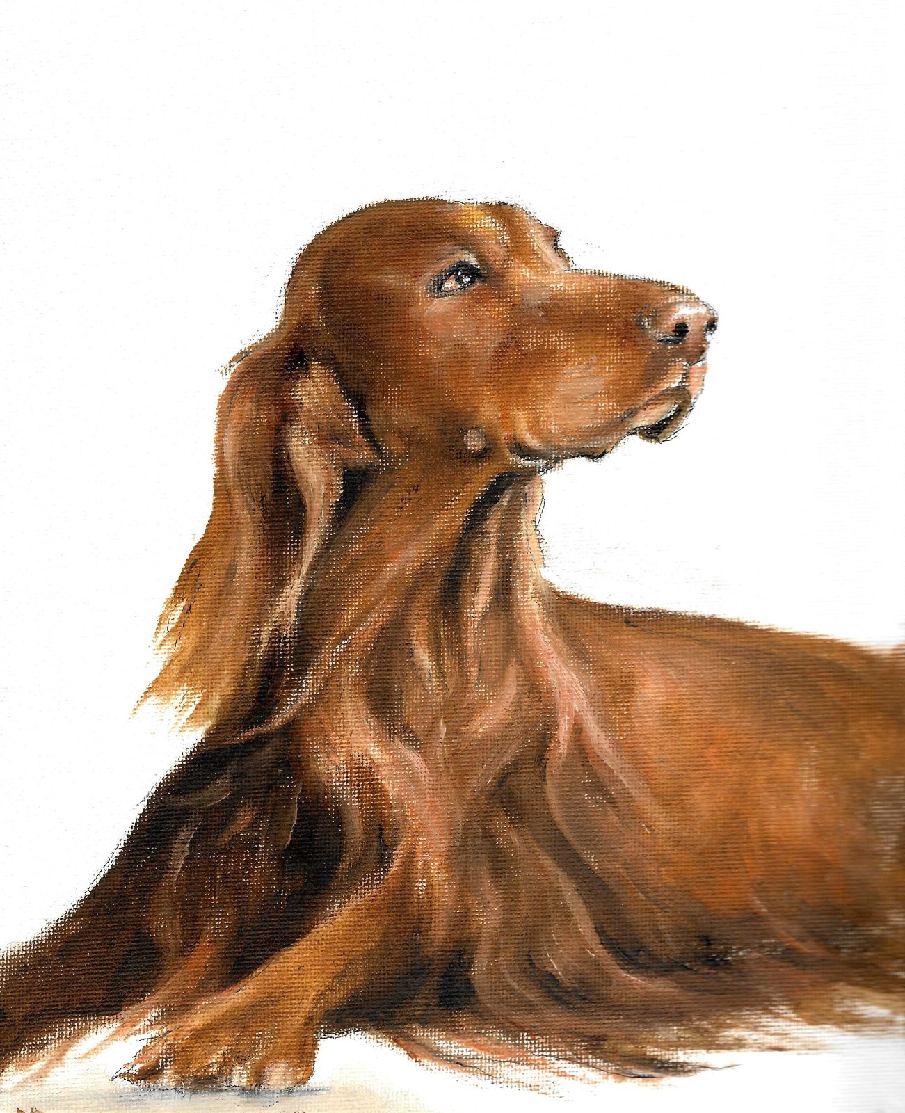 ❦ ORIGINAL Oil Dog Portrait Painting IRISH SETTER Artist Signed Art on Canvas